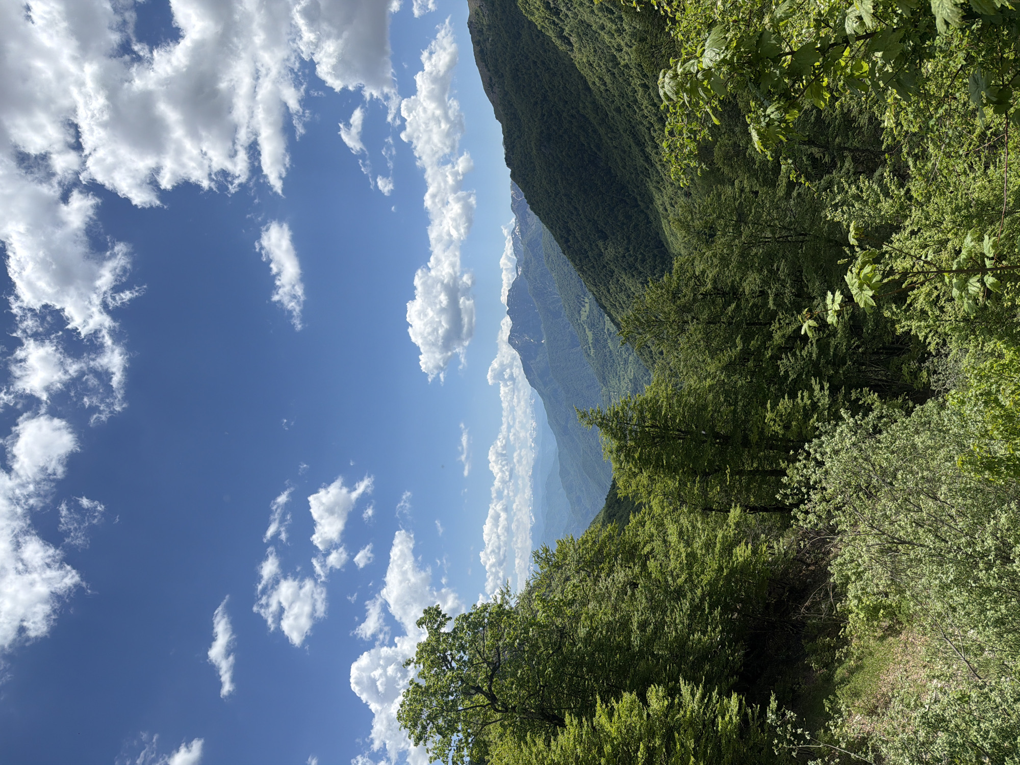 A landscape view shows a deep blue sky with scattered cumulus clouds on the left. To the right, a densely wooded mountain slope descends steeply. In the mid-ground, layered mountain ranges appear hazy in the distance. The location is identified as being in the city of Unknown, Montenegro, but no urban elements are visible. The focus is on the natural elements: sky, clouds, mountains, and trees.