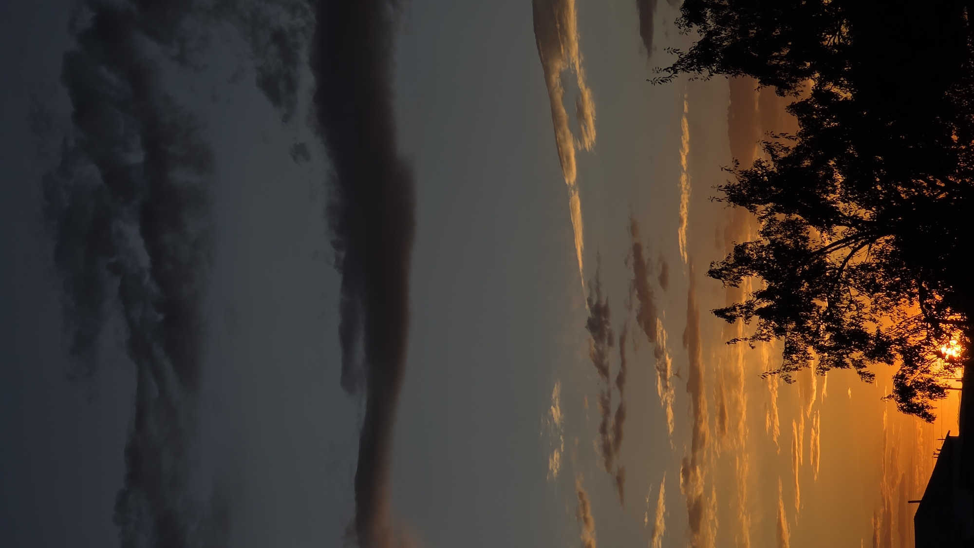 The image captures a sunset over the city of Kozmoldak, Kazakhstan. The sky transitions from a deep, dark blue at the top to vibrant oranges and yellows near the horizon. Wispy clouds are scattered across the sky, catching the fading sunlight. In the foreground, silhouetted trees with dense foliage dominate the lower portion of the frame, their branches reaching upwards. A portion of a dark-colored building or roofline is visible on the far left. The overall impression is one of a serene evening in a city setting.