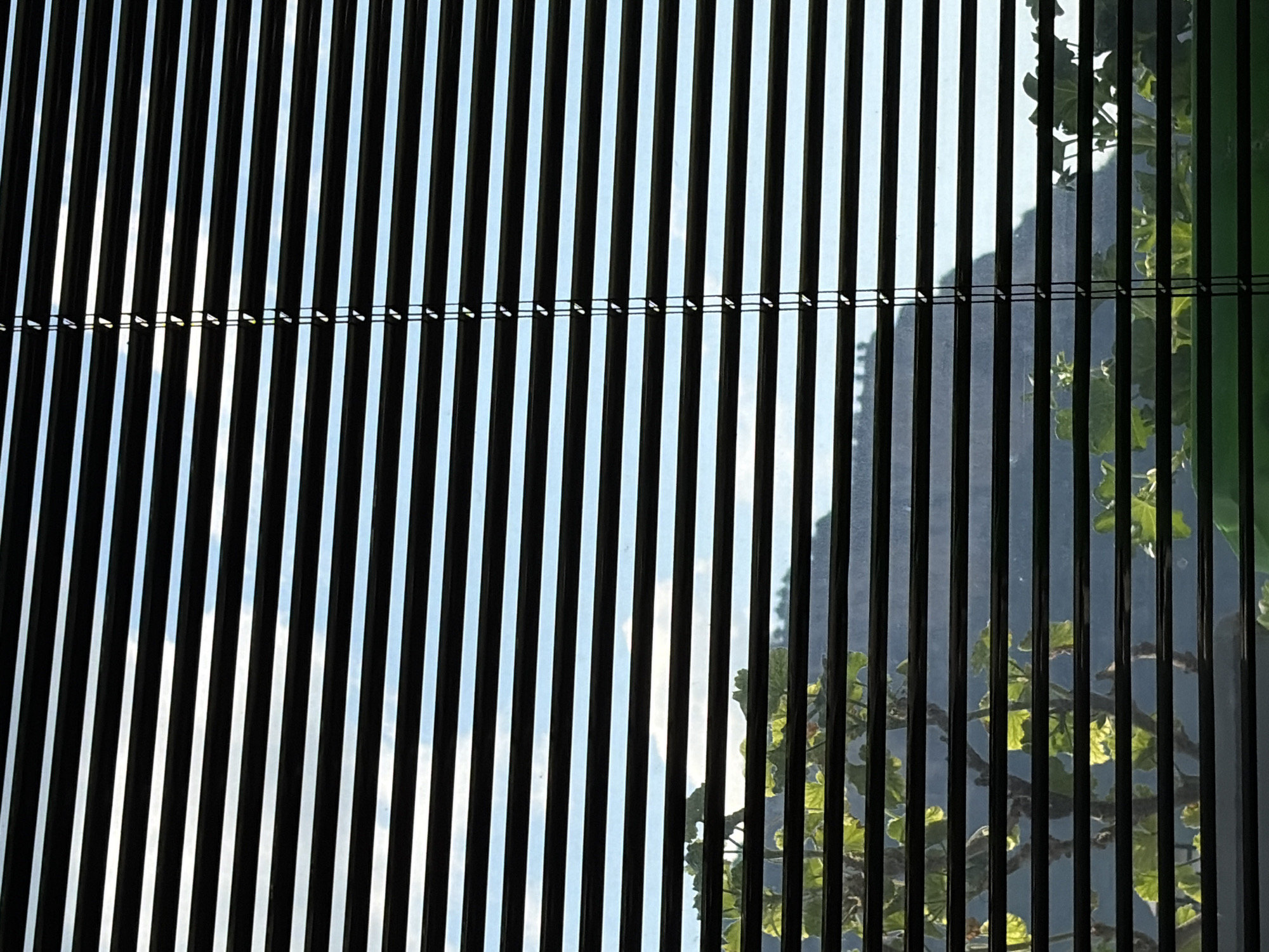 The image displays a series of uniformly spaced, dark, vertical slats, reminiscent of a louvered screen or partially closed blinds. These slats create a strong linear pattern across the entire frame. Through the narrow gaps between the slats, glimpses of the external environment are visible.
In the upper and left portions of the image, a bright, clear to partly cloudy blue sky is discernible, indicating daytime conditions. In the right and lower-right sections, green foliage, including tree branches and leaves, can be seen through the openings. The leaves appear well-lit, suggesting sunlight. A distinct, thin, dark horizontal line, possibly a wire or string, runs across the mid-section of the image, appearing to connect or stabilize the vertical slats with small, regularly spaced attachments.
There are no people or discernible activities taking place. The scene offers a fragmented view of the outdoors from what appears to be an interior or sheltered space. The strong contrast between the dark, structured foreground and the bright, natural background is a prominent visual element. No text is visible in the image. The scene is set in Teteven, Bulgaria.