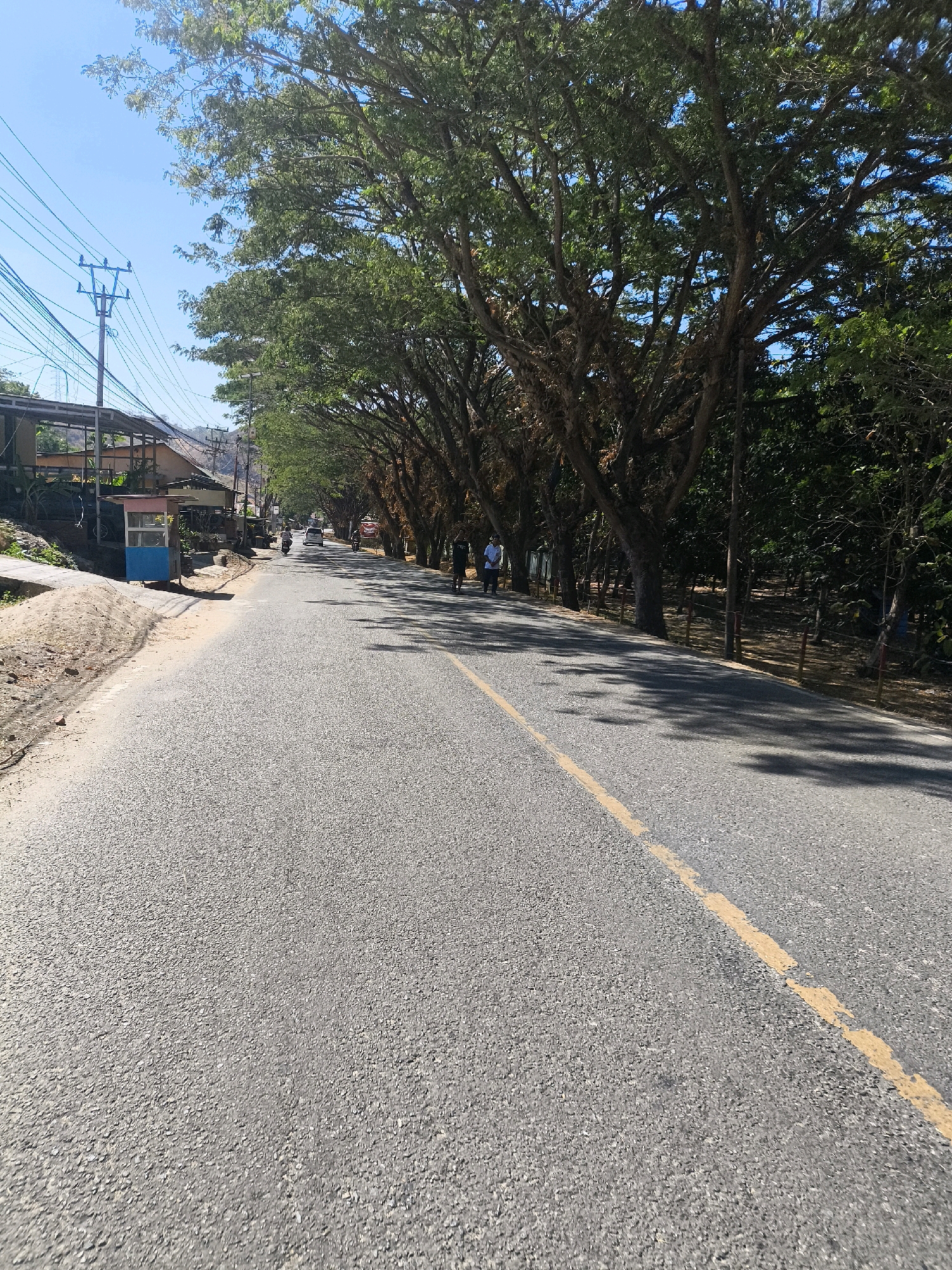 A paved road lined with trees stretches into the distance under a clear blue sky. The road has a broken yellow line down the center and is bordered by a dirt shoulder on the left, with a few buildings and a utility pole visible. On the right, the trees form a canopy, casting shadows on the road. A few people and a motorcycle are on the road, moving away from the camera.