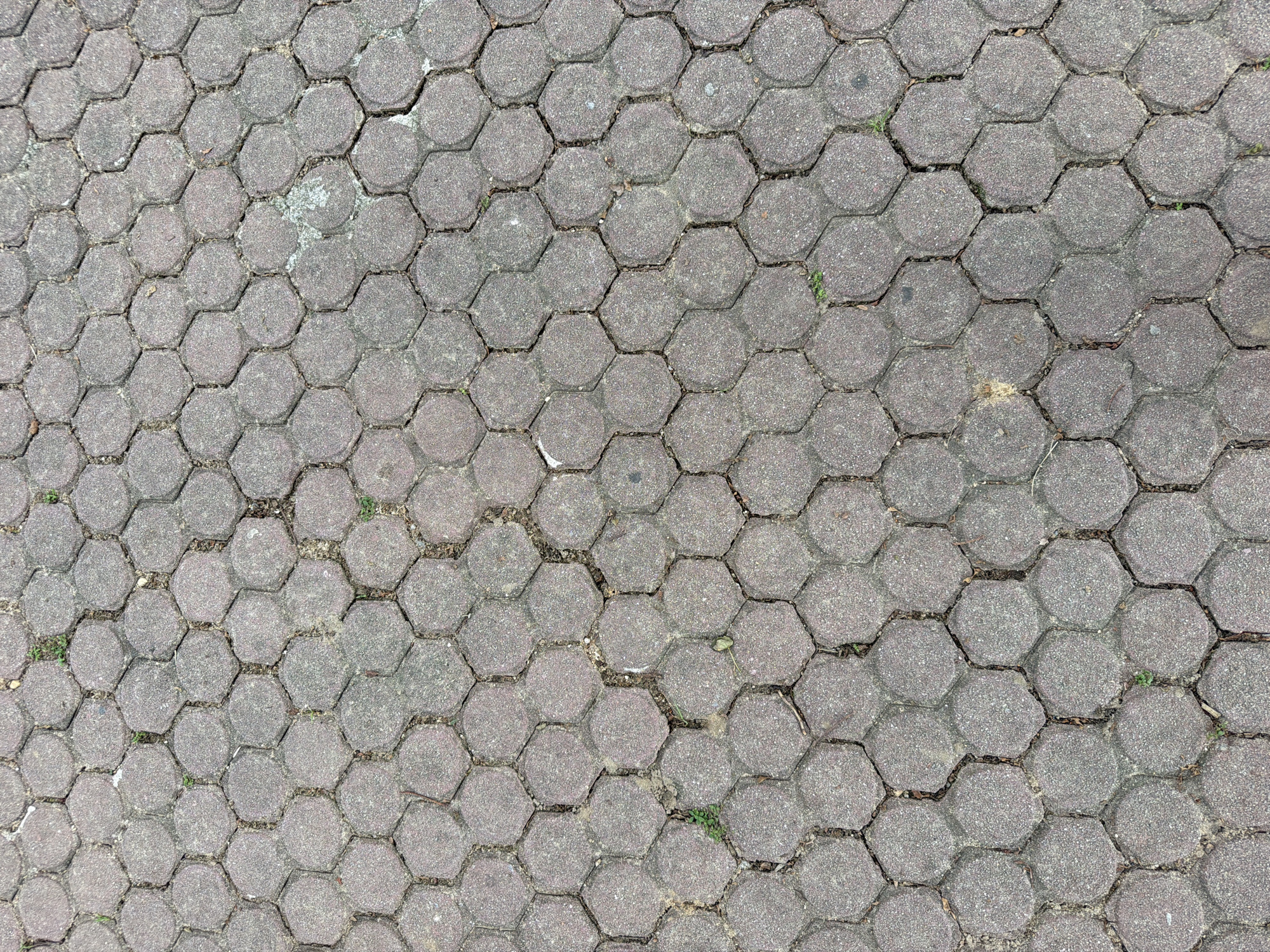 The image displays a detailed overhead view of a hexagonal paving stone surface. The stones are a uniform dark gray color with a slightly textured finish, arranged in a repeating honeycomb pattern. The grout lines between the stones are visible and appear to be filled with dirt and small bits of debris, including occasional blades of green grass or weeds sprouting from the cracks. The lighting suggests an outdoor environment, likely during the daytime, with subtle shadows indicating the direction of the light source. There are no people, animals, or vehicles visible in the image. The scene appears to be a public walkway or ground surface within the city of Karon, Thailand, based on the provided context.