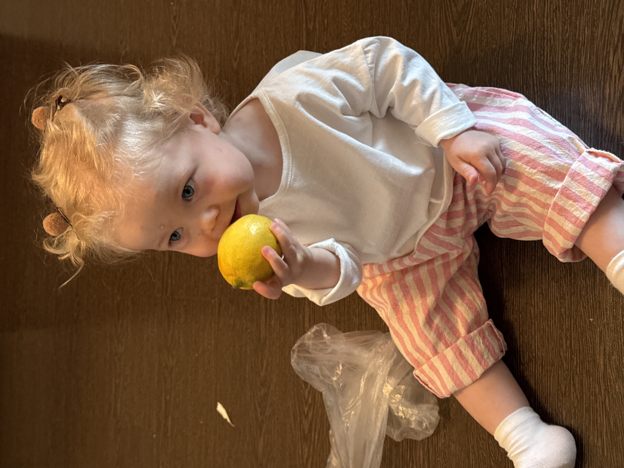 A blonde-haired child with blue eyes is lying on a dark brown floor. The child is wearing a white, long-sleeved shirt and pink and white striped pants, along with white socks. The child is holding a yellow lemon in their hand, close to their face. Next to the child is a crumpled clear plastic bag. The scene appears to be indoors on a dark wooden floor. There is no evidence to suggest that this image was taken in Vladimir, Russia.