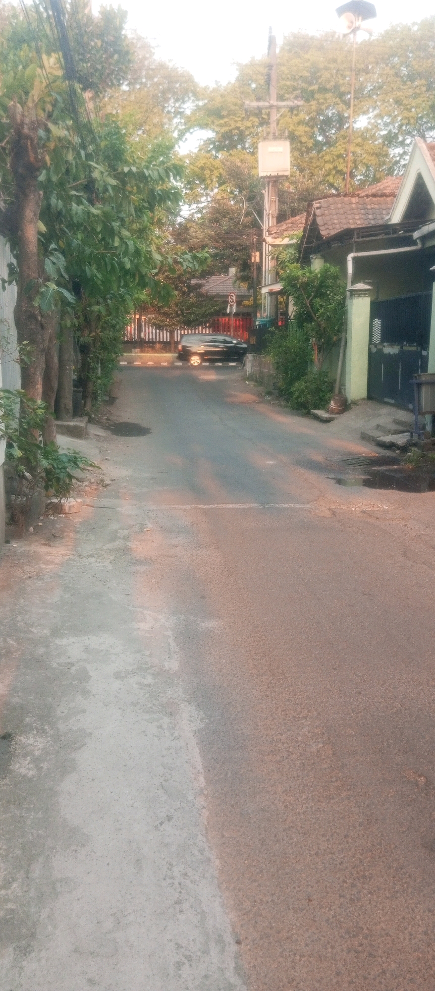 The image shows a narrow street in a residential area of Kediri City, Indonesia. On the left side of the street, there are several trees with thick trunks and lush green foliage. A concrete sidewalk runs alongside the trees, showing signs of wear and tear with some water stains. The street itself is paved with asphalt and appears wet in places, reflecting the soft light.
On the right side of the street, there are houses with tiled roofs and green walls. One house has a dark green gate with a decorative pattern. Further down the street, a black car is visible driving away from the camera. Electrical poles with transformers and what appears to be a public address system are also present along the street. The overall scene suggests a quiet, residential neighborhood, possibly during the late afternoon or early morning given the warm lighting.