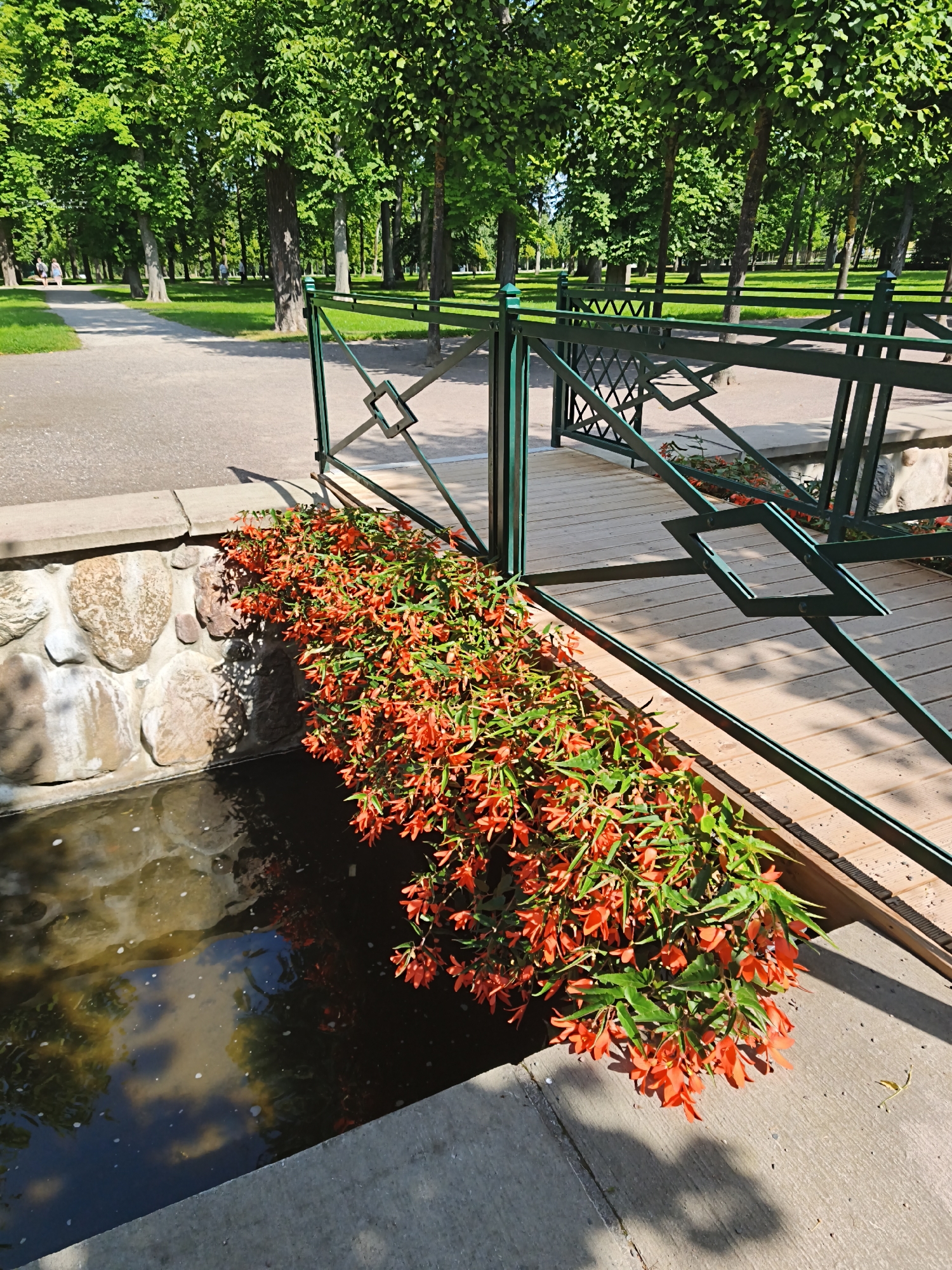 This image depicts a sunny day in a park in Tallinn, Estonia. A wooden bridge with green railings crosses a small body of water. The railings have diamond-shaped metal accents. Bright red flowers cascade down from the bridge, partially obscuring a stone wall and the water. The water reflects the sky and trees. A paved path and green lawn are visible beyond the bridge, lined with mature trees. There are a few people in the background walking on the path. The overall impression is a pleasant, verdant park scene.
