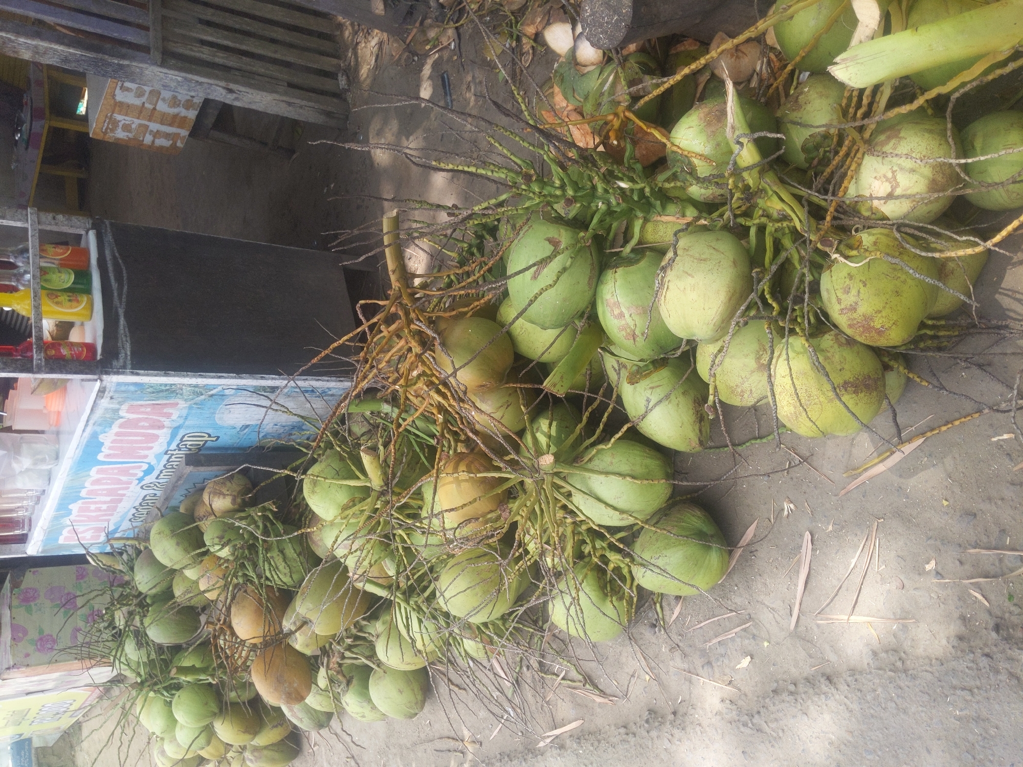 The image shows a large pile of fresh coconuts displayed on the ground and against a small roadside stall in Mematangpanyang, Indonesia. The stall has a sign that reads "ES KELAPA MUDA SADAR & MANTAP" which translates to "Young Coconut Ice, Aware & Delicious." The coconuts, predominantly green, are still attached to their fibrous stems and branches. Some coconuts have a brownish-yellow hue, indicating varying stages of ripeness or variety. The ground appears to be a mix of sand and dirt, with dry leaves and twigs scattered around. Behind the coconuts and stall, there is a glimpse of a wooden structure, possibly part of another stall or seating area, and a yellow-topped table with items on it. The lighting suggests it is daytime. There are no people visible in the frame. The scene depicts a typical roadside vendor selling fresh coconut drinks in Indonesia.