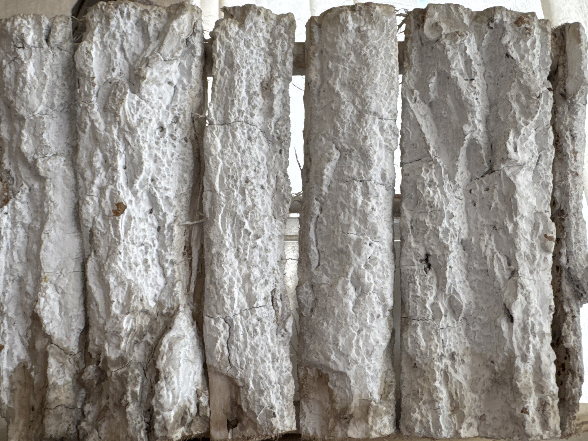 A close-up, full-frame, eye-level shot shows a textured, vertical surface composed of four roughly cut, pale, distressed wooden planks, possibly part of a fence or partition. The wood is heavily weathered and appears to be coated with a thick, cracked, white or light gray material, possibly stucco or plaster, giving it a rough, uneven, and somewhat lumpy appearance. There are visible cracks and imperfections in the white coating, revealing darker wood underneath in places. The planks are spaced slightly apart, allowing glimpses of a bright, indistinct background, likely outdoors with diffused light. The overall impression is one of age and decay, with a strong emphasis on texture and the interplay of light and shadow on the weathered surfaces. No people or specific landmarks are visible. The location is unknown.