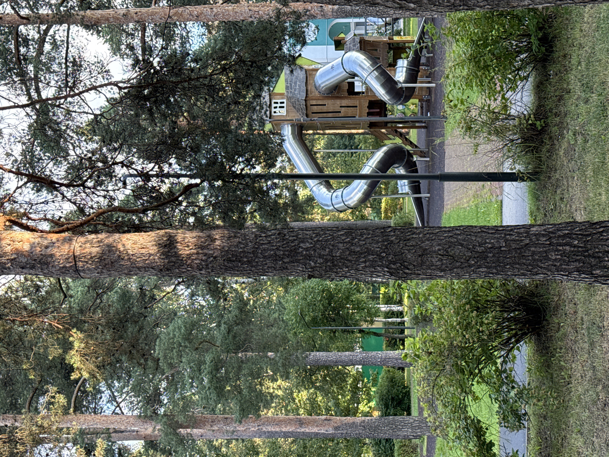 The image depicts an outdoor children's playground with a prominent wooden play structure featuring two intertwined metallic slides. The structure has a multi-level design with wooden walls and a grey, shingled roof. A small, white-framed window is visible on the upper section of the playhouse. The slides are large, silver, and spiral downwards, exiting near the ground. The playground is situated within a park-like environment characterized by tall pine trees with textured bark and dense green foliage. In the foreground, there are also bushes and grass. A paved pathway runs through the scene. A dark grey lamppost is positioned to the left of the play structure. In the background, a portion of a building with a light blue facade and white decorative elements can be seen. The overall scene is one of a well-maintained recreational area set amidst a natural, wooded landscape. It is likely located in a residential area in the city of Vsevolozhsk, Russia, given the type of playground and surrounding environment. No people are present in the image.