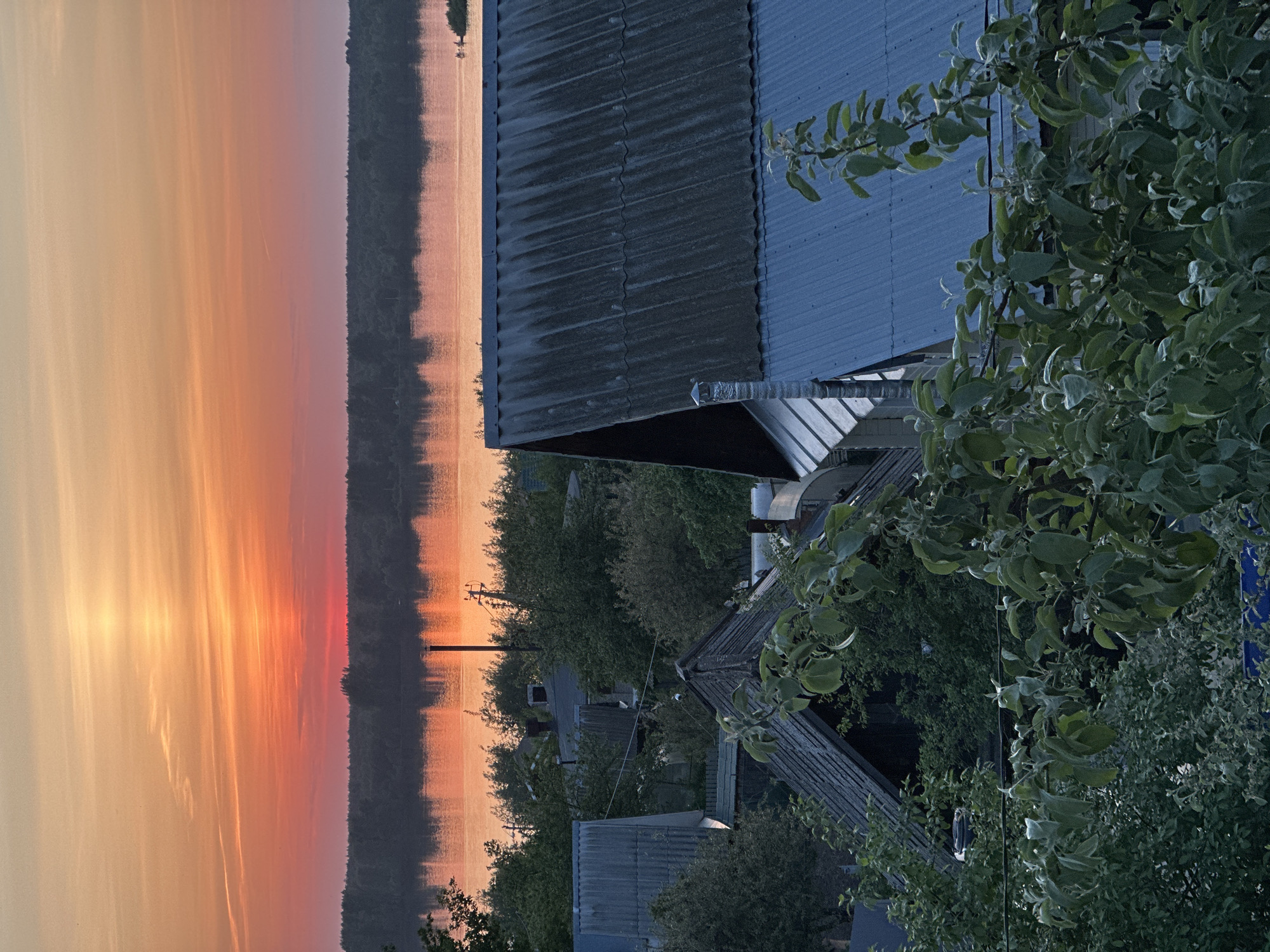 The image captures a view from an elevated position in Chaikovsky, Russia. A body of water, likely the Kama River, stretches along the left side, reflecting a vibrant sunset with hues of orange and pink. A wooded shoreline lines the opposite bank. The foreground is dominated by rooftops of houses and lush foliage of trees and bushes. Metal roofs are visible with signs of wear. Overhead electrical wires cut through the scene. No people are visible.