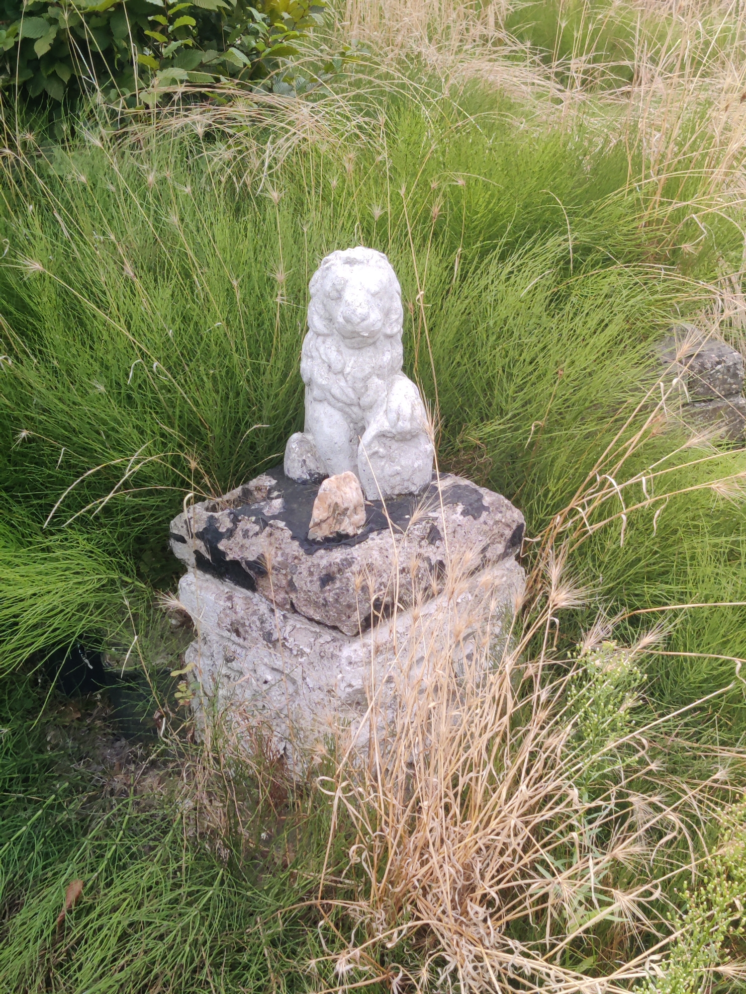 The image shows a small, weathered statue of a lion on top of a rough, greyish stone structure. The statue and its base are surrounded by tall, green grass and some dry, straw-like vegetation. In the background, there are dark green leaves of a bush or tree. The lighting suggests it is daytime, possibly overcast. The location is described as being in the city of Winterswijk, Netherlands. There are no people or animals present.
