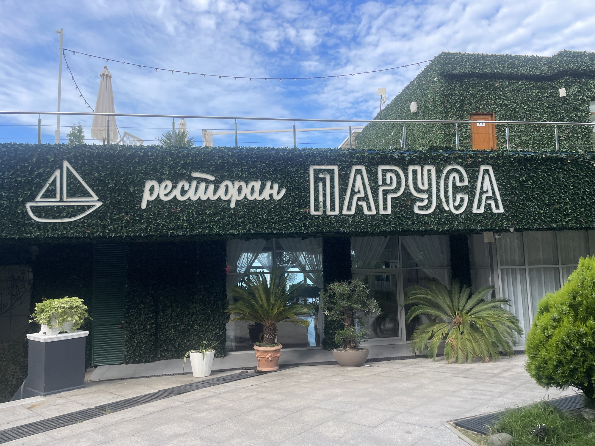 The image shows the exterior of a restaurant named "РЕСТОРАН ПАРУСА" (Restaurant Parusa) in Sochi, Russia. The restaurant has a distinctive facade covered in dark green artificial foliage. A white neon sign in a script font spells out "РЕСТОРАН" (Restaurant) to the left of the word "ПАРУСА" (Parusa), which is rendered in blocky, outlined white neon letters. To the left of the restaurant's name is a white neon outline of a sailboat.
The building has large windows, some with white sheer curtains visible inside. Several potted plants, including palm trees and smaller leafy plants, are placed on the paved outdoor area in front of the restaurant. The pavement is made of light-colored square tiles with dark drainage grates.
In the background, a railing separates the outdoor seating area from the building's upper level, where a wooden door is visible. String lights are strung across the sky above the building. The sky is blue with scattered white clouds. The overall impression is of a modern, possibly upscale, restaurant establishment in a coastal city like Sochi.