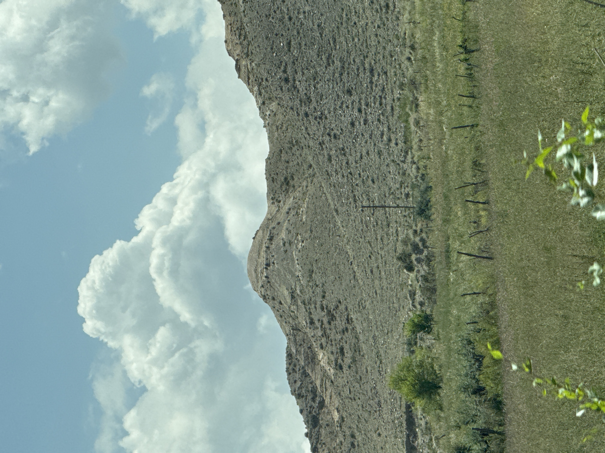 An outdoor, mid-range, eye-level shot shows a mountainous landscape with a cloudy sky overhead. The mountain range in the background is covered in dry brush and rocks, with a peak in the center of the frame. The foreground is a field of tall, dry grass with scattered fence posts. In the mid-ground, there are some green bushes and trees. The sky is bright blue with large, fluffy white clouds. There are no people or animals visible in the image, and no specific actions are taking place. The scene appears to be a natural landscape in a rural or undeveloped area. The image does not contain any specific landmarks or features that would indicate the location in the city of Kara-Talaa, Kyrgyzstan.