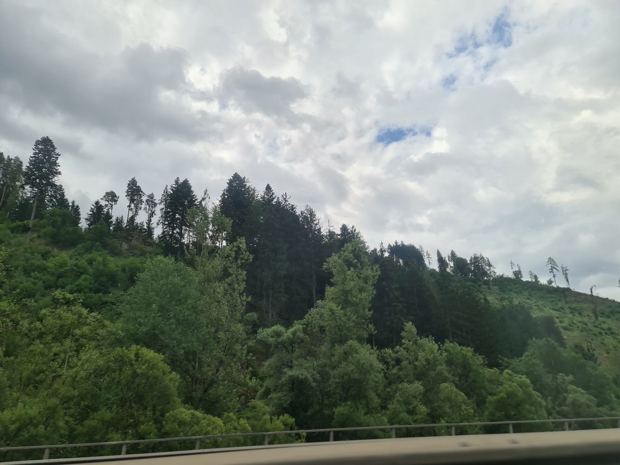 The image captures a view of a tree-covered hillside in Sankt Michael in Obersteiermark, Austria, under a cloudy sky. The foreground features a railing, suggesting the photo was taken from a road or elevated viewpoint. The hillside is densely populated with a variety of trees, ranging from tall conifers to deciduous trees with lush green foliage. The terrain appears uneven, with some areas of rock visible interspersed with the vegetation. The sky is a mix of grey clouds and patches of lighter sky, with a hint of blue sky peeking through in the upper right quadrant. The overall impression is a natural, somewhat wild landscape.
