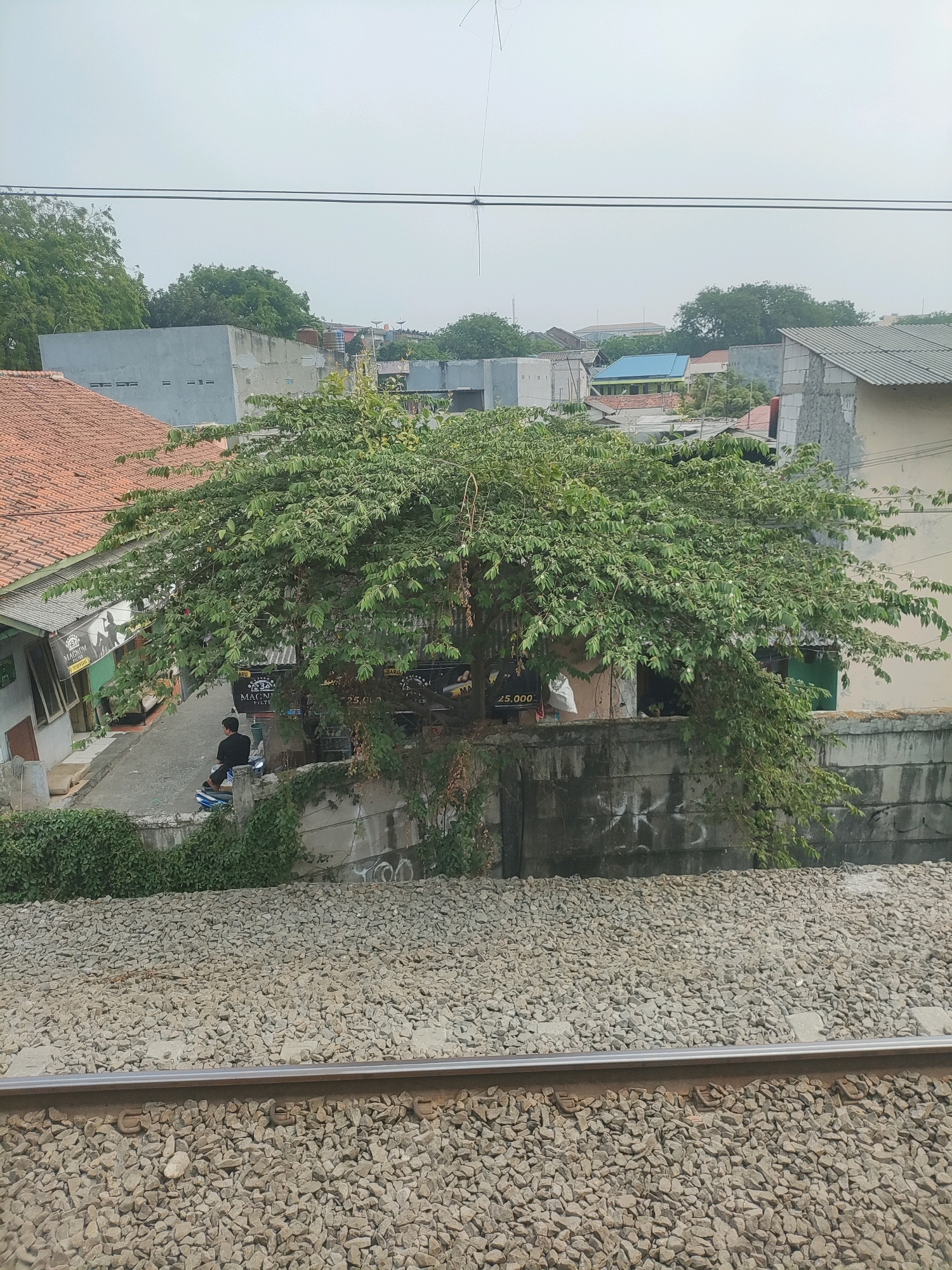 A medium shot captures an outdoor scene in a city, likely Bekasi, Indonesia. In the foreground, a section of railroad tracks is visible, with gravel and ballast forming the surrounding area. Behind the tracks, a dense green tree with a wide canopy dominates the midground, its branches extending over a concrete wall. The wall, displaying some graffiti, separates the foreground from a narrow street or alleyway. On the street, a person wearing a black shirt and shorts is seated on a blue and white motorcycle, facing away from the viewer. Buildings with red tile roofs and various other structures, including what appears to be a small shop with signage, are visible on either side of the alley. The background reveals more urban buildings and trees against a hazy sky. The overall impression is of a developing urban environment with a mix of residential and commercial elements, interspersed with natural greenery.