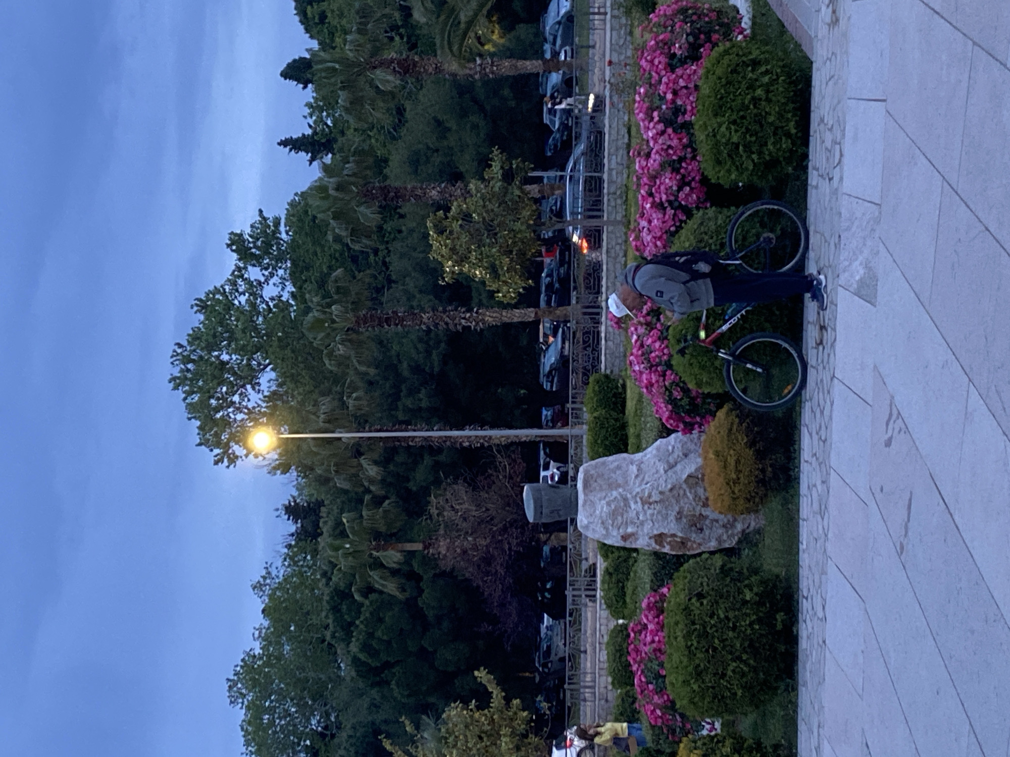 The image shows a street in Bar, Montenegro at dusk. A person in a gray jacket, dark pants, and white shoes is next to a bicycle in a flower bed along a stone-paved sidewalk. The flower bed contains pink flowers, green bushes, and a large white rock. Behind the flower bed is a metal railing, trees (including palm trees), parked cars, and a street lamp. The sky is blue. Other people are visible in the lower left.