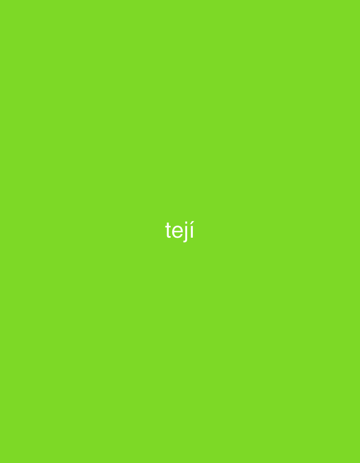 The image displays the word "tejí" in white, sans-serif font, centered against a solid, vibrant green background. The accent mark over the 'i' is clearly visible. No other subjects, objects, or details are present in the image. There is no discernible activity or event taking place. The background is uniformly colored, suggesting a digital graphic rather than a photographic scene. There are no cues for time of day, weather, or specific location within the image itself. The provided context indicates a location of Santa Ana, Venezuela, but the image content does not reflect this.