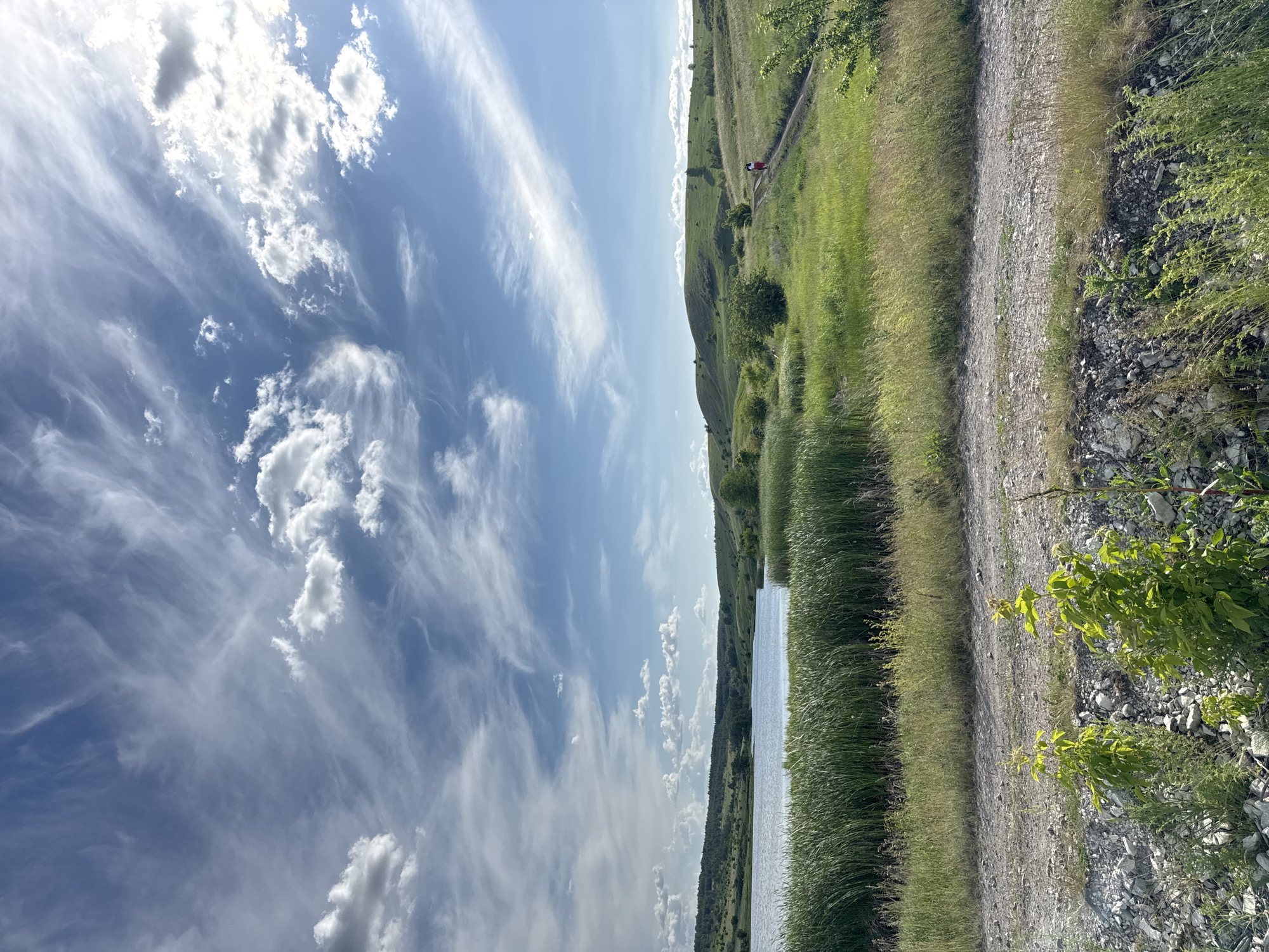 A wide-angle landscape photograph taken in an unknown rural location features a large body of water, rolling green hills, and a partially cloudy blue sky under bright daylight. The sky occupies the upper half of the frame, showcasing a mix of wispy cirrus clouds, particularly prominent on the right, and scattered cumulus clouds across the expanse. The sun appears to be located in the upper right, casting bright illumination.
In the midground, a calm lake or large pond stretches across the left and center, reflecting the sky subtly. The far bank of the water is lined with dense green reeds or tall grasses. Beyond the water, gentle hills covered in various shades of green foliage and trees rise against the horizon. On the right side of the image, a dirt path or track curves across a grassy hillside. A single individual, seen from behind and wearing red bottoms and a white top, walks along this path, moving away from the viewer.
The foreground consists of a rough dirt and gravel track running horizontally, with patches of dry grass and small, bright green leafy plants growing from rocky, light-colored soil and stones. The vegetation near the water's edge is tall and dense. The overall scene depicts a natural, open landscape on a clear, sunny day.