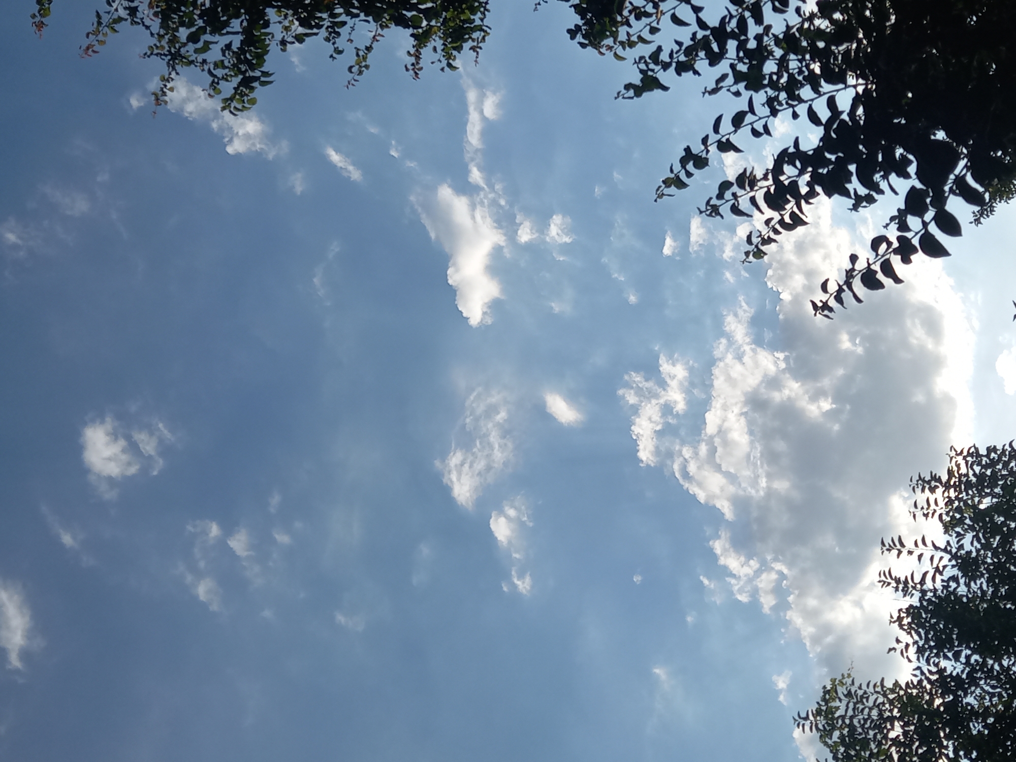 The image depicts a sky filled with scattered white and grey clouds against a clear blue backdrop. Silhouettes of tree branches and foliage are visible in the foreground, framing the sky from the bottom and right edges of the frame. The lighting suggests it is daytime, with sunlight filtering through the clouds. The scene is consistent with an outdoor environment in a location like Keles, Uzbekistan, where such skies and vegetation are common. There are no people or discernable actions in the image.