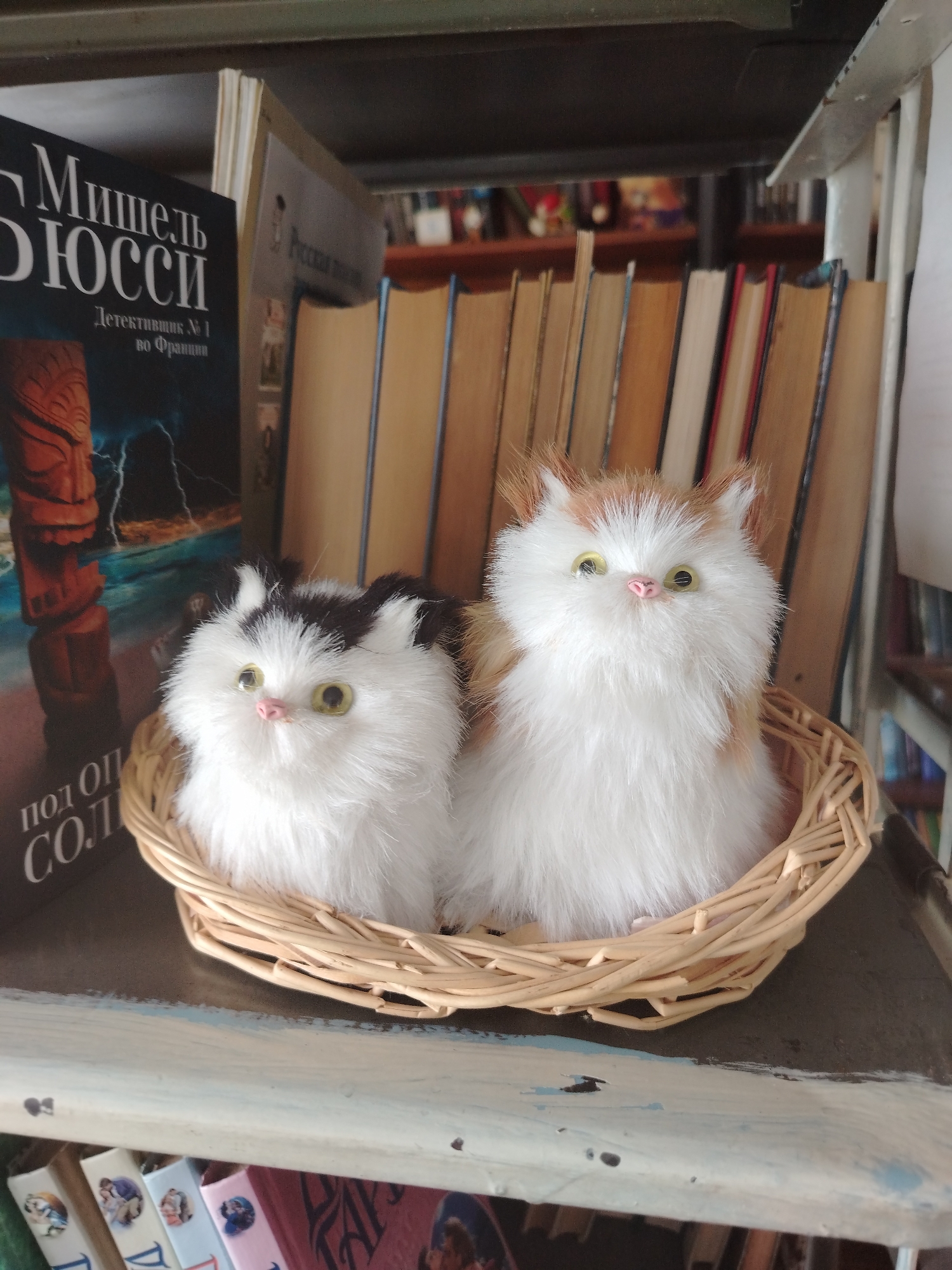 A close-up shot on a wooden shelf displays two fluffy stuffed cats nestled in a woven basket. The cat on the left has black and white fur, while the cat on the right is a mix of white and orange. Both cats have bright yellow eyes and small pink noses. Behind the basket, a row of books stands upright. The spine of a dark blue book is partially visible on the left, featuring white text. To the right of this book, several other books with light-colored spines are visible. The shelf is positioned in front of a backdrop of more books, creating a library or study setting. The lighting suggests daytime. Visible text on the dark blue book reads "Мишель Дюсси" and "Детектив №1 во Франции".