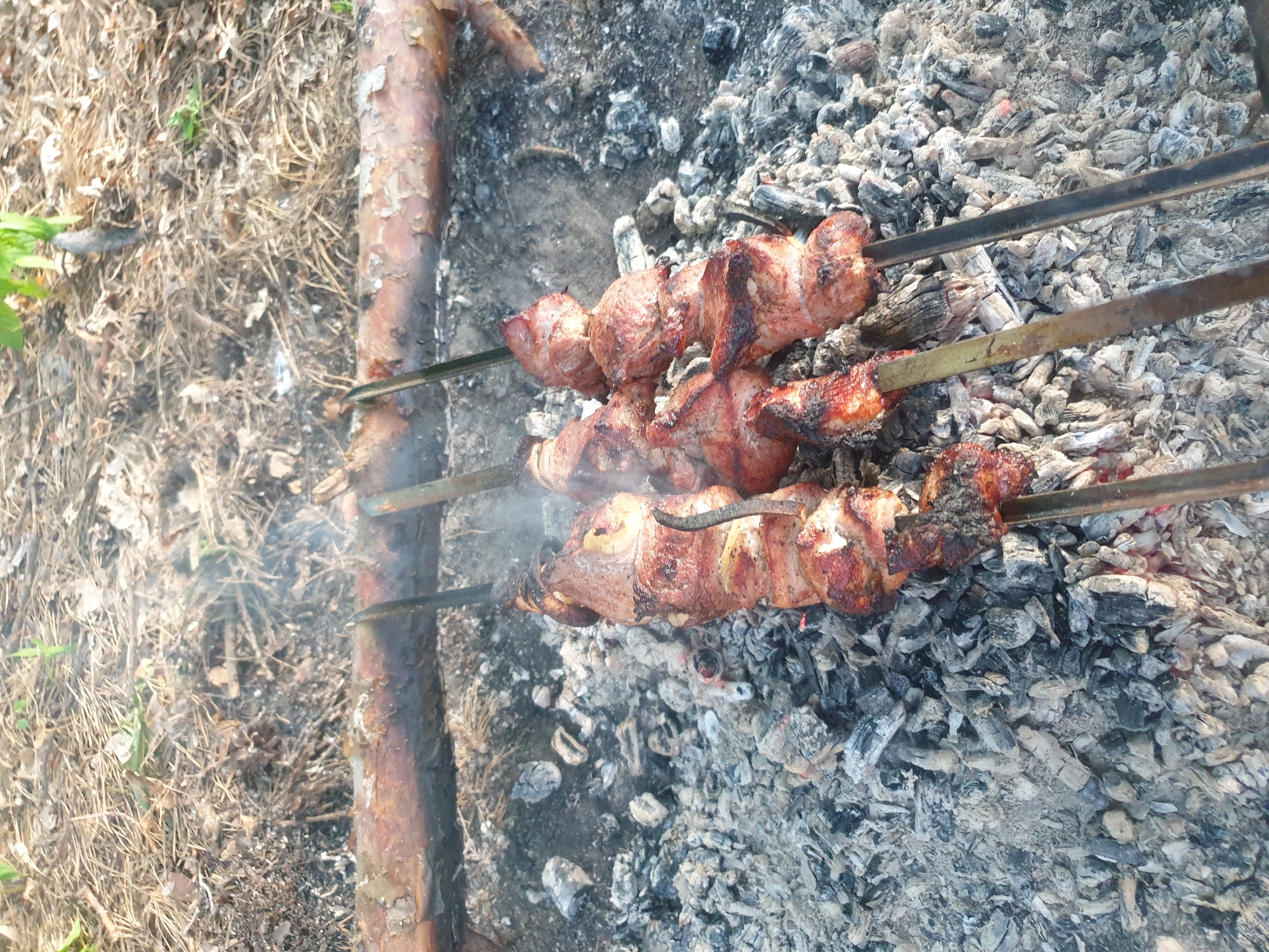 A close-up, overhead shot shows three skewers of meat cooking over a bed of ash and embers. The skewers, made of metal, are inserted into pieces of seasoned meat, which are browning and sizzling. Smoke rises from the meat, indicating it is actively cooking. The background consists of dry leaves, twigs, and a fallen log, suggesting an outdoor setting, possibly a forest or park. The lighting is natural, casting soft shadows.