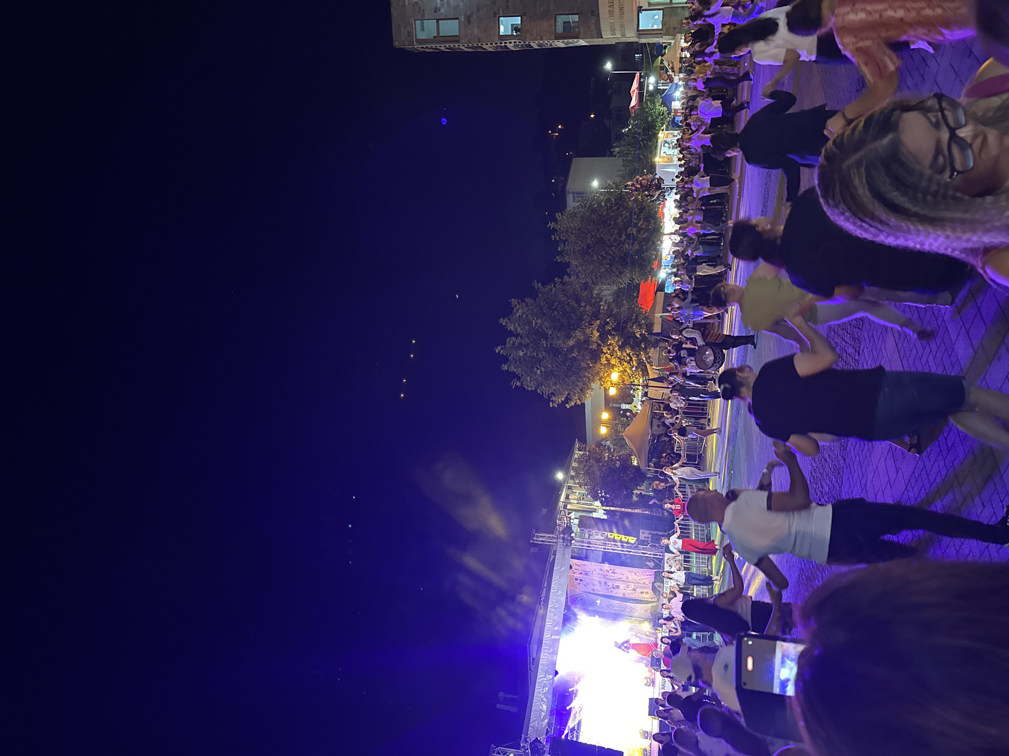 This is a full-frame, eye-level, wide-angle shot of an outdoor festival at night in Nedelino, Bulgaria. The sky is a deep blue, with a few faint lights visible. In the background, a stage is set up with bright lights illuminating performers. A crowd of people is gathered in front of the stage, many of them holding hands and dancing in a circle. Some people in the foreground are also participating in the dancing, while others are watching the performance. The ground is paved with cobblestones, and streetlights are visible, casting a warm glow on the scene. There are also tents and market stalls set up around the perimeter of the festival area. The overall atmosphere is festive and lively, with a sense of community and celebration.