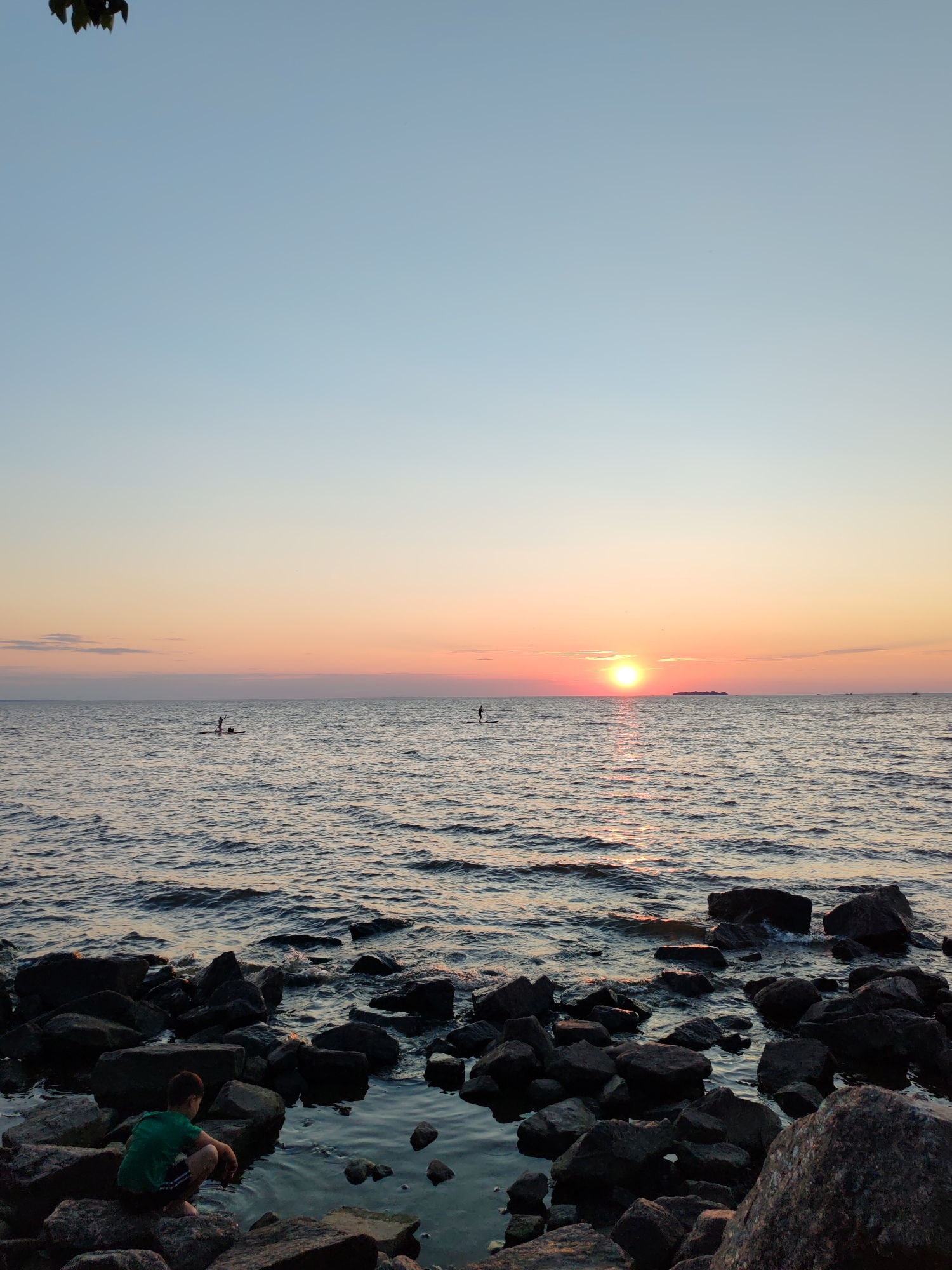 The image depicts a sunset over a body of water, likely the Gulf of Finland, near Saint Petersburg, Russia. The sky transitions from a clear light blue at the top to hues of pink and orange near the horizon, where the sun is setting. Several individuals are visible on paddleboards in the water, silhouetted against the colorful sky. In the foreground, a young person wearing a green shirt and dark shorts is crouching on a rocky shoreline, looking out at the water. The rocks are scattered along the edge of the water, with some extending into the shallow areas. The water itself is calm, with gentle waves reflecting the colors of the sunset. The overall scene captures a peaceful evening by the water.