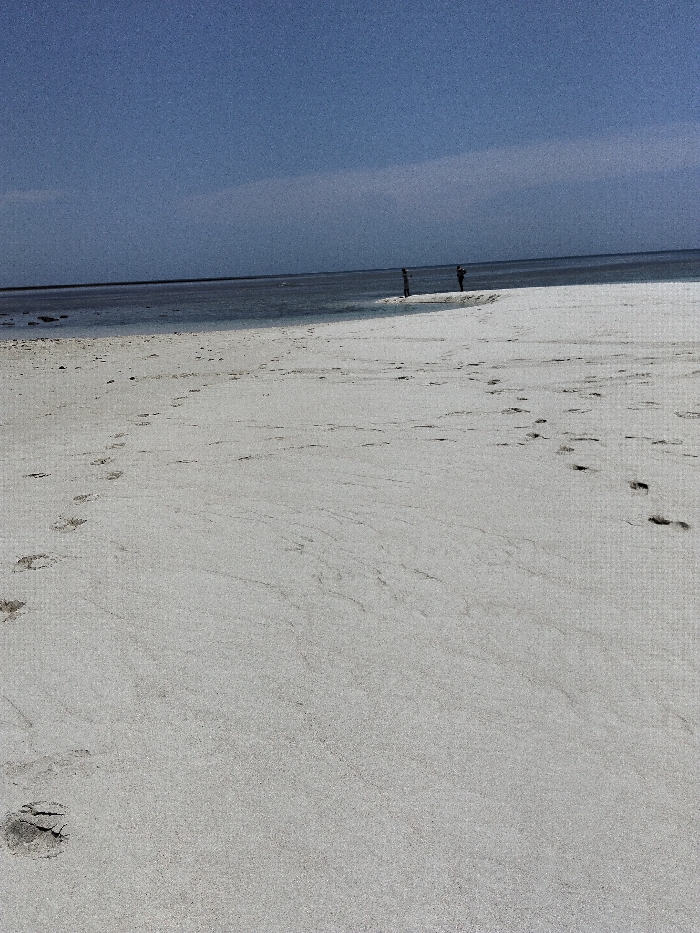 The scene depicts a wide, flat, light-colored sandy beach in Wasini, Kenya, under a clear blue sky. The foreground is dominated by damp, pale sand marked by numerous human footprints tracking in various directions, some leading towards the water, others parallel to the shore. In the mid-ground, two human figures are observed standing in shallow, calm water near the sand's edge, silhouetted against the horizon. The water extends to the horizon line, meeting a uniform blue sky. No other distinct objects, structures, or vegetation are visible.