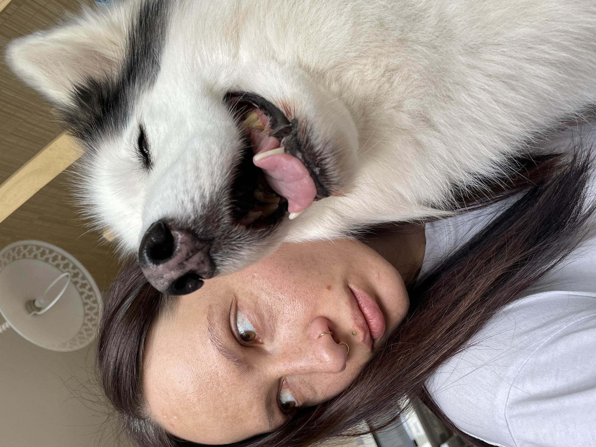 A woman with dark hair and tan skin is lying down, looking to her left with brown eyes. She has piercings in her nose and lip. A large white dog with black markings is directly above her face, its mouth open, revealing its tongue and teeth. A white ceiling light is visible in the background to the left of the woman. The location cannot be confirmed as Izhevsk, Russia, from the information available in the image.