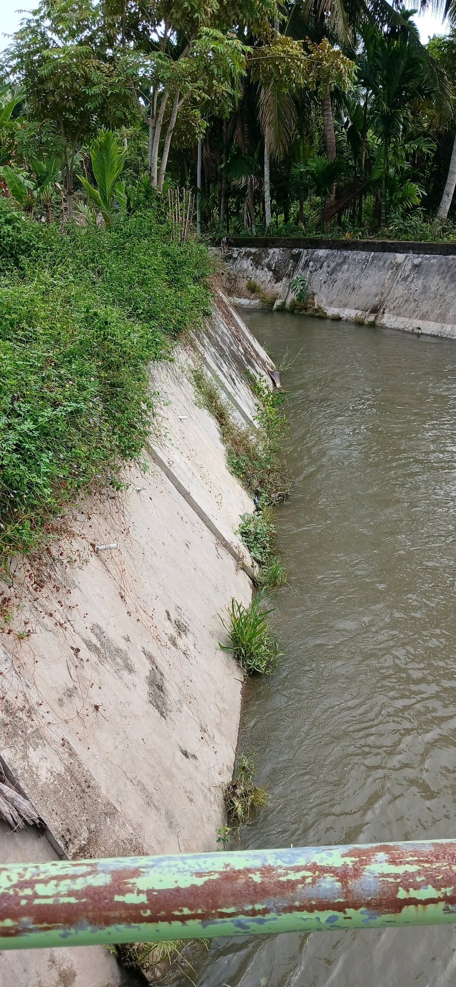 The image shows a concrete irrigation canal with murky water flowing through it. Lush green vegetation, including trees and vines, covers the banks of the canal. In the foreground, a rusty green metal pipe runs horizontally across the frame. The scene appears to be an outdoor environment, possibly in a rural area of Alue Barat, Indonesia, given the presence of tropical vegetation and the style of the irrigation system. There are no people or animals visible in the image. The lighting suggests it is daytime, with the sun casting shadows on the concrete.