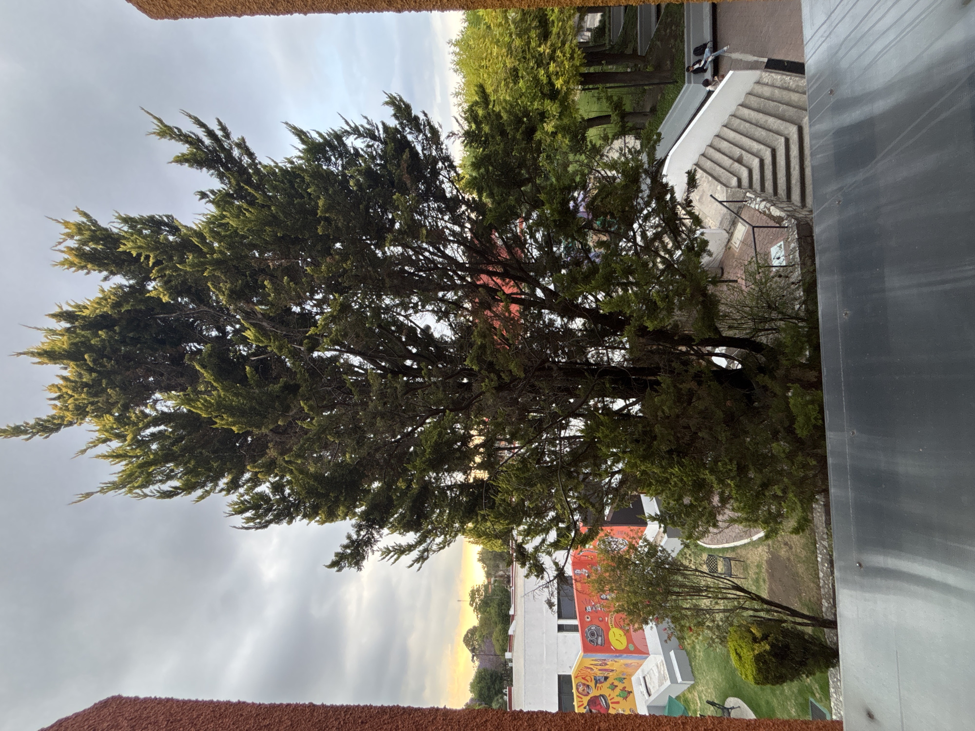 An eye-level, exterior shot taken from an elevated position, presumably inside a building, showing a view of the city of San Andrés Cholula, Mexico, with a large tree in the foreground, buildings, and outdoor landscaping.
The prominent feature is a large, full tree, with dense, dark green foliage filling the central and left portions of the frame. The trunk and branches are visible through the foliage, giving the tree depth and a somewhat scraggly appearance.
Beyond the tree, one can see a row of buildings. One building is painted with an eye-catching mural featuring a yellow smiley face, various geometric shapes, and graphic designs. This is likely a building located in San Andrés Cholula.
To the right, there's a set of light-colored steps leading up to another structure. Two individuals are seen standing on the stairs; they are small and partially obscured.
The sky is overcast with gray and white clouds, hinting at either dawn or dusk, with a soft light in the distance. The vegetation around the buildings appears well-maintained, suggesting a residential or institutional setting.
Two building elements frame the image, one at the bottom and one at the top, in brown and gray respectively.