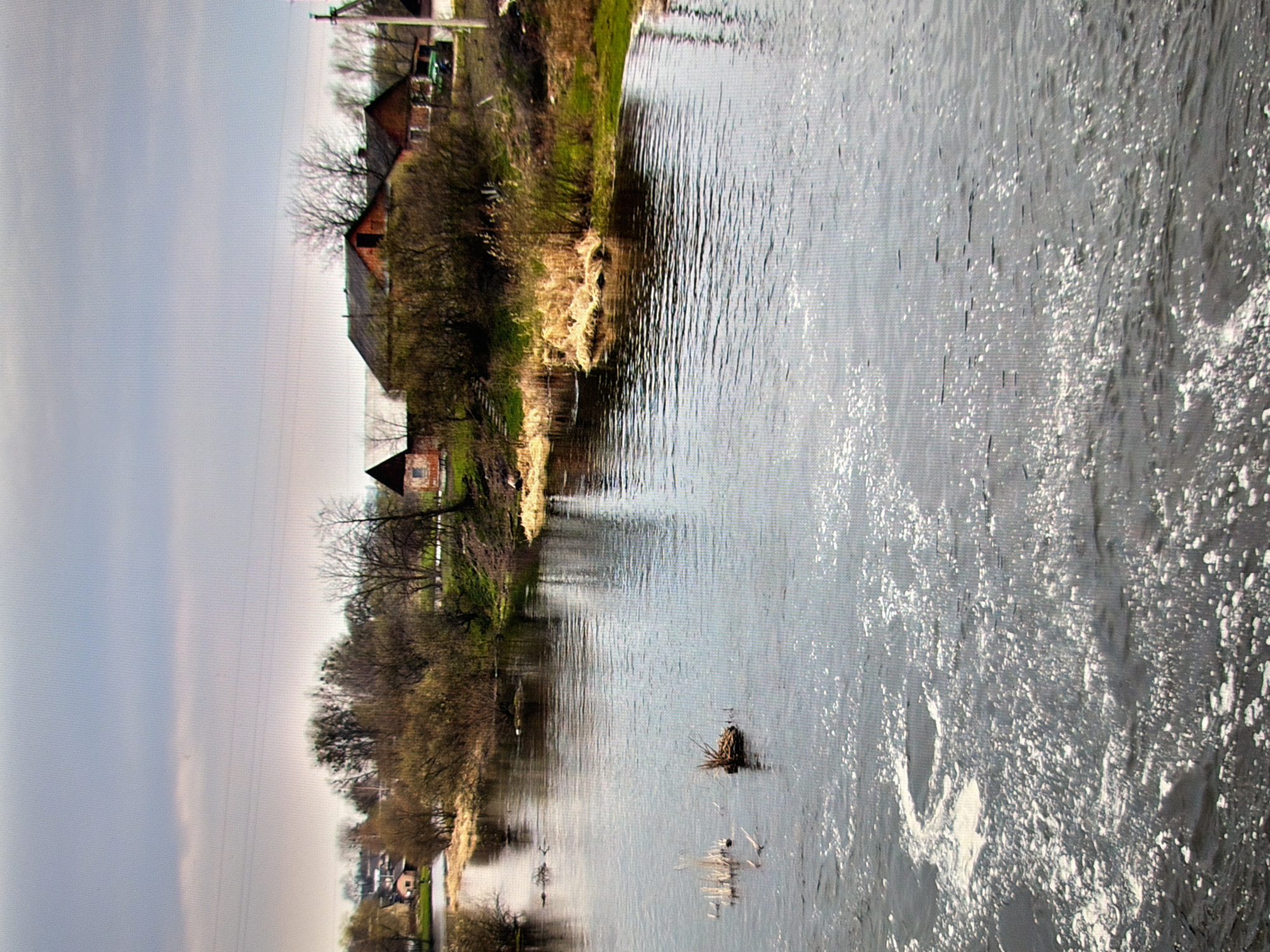 The image depicts a wide, calm river flowing through a rural or semi-rural area. The riverbanks are lined with trees, some of which are bare, suggesting a late winter or early spring season. Small clusters of dried reeds grow along the water's edge. In the background, several houses with pitched roofs are visible amongst the trees, indicating a small settlement. The sky is overcast with gray clouds. On the river's surface, white foam and ripples suggest a gentle current or disturbance. There are no people visible in the image. The scene appears to be a tranquil, natural setting with human habitation nearby. The provided context states the location is Kyiv, Ukraine.