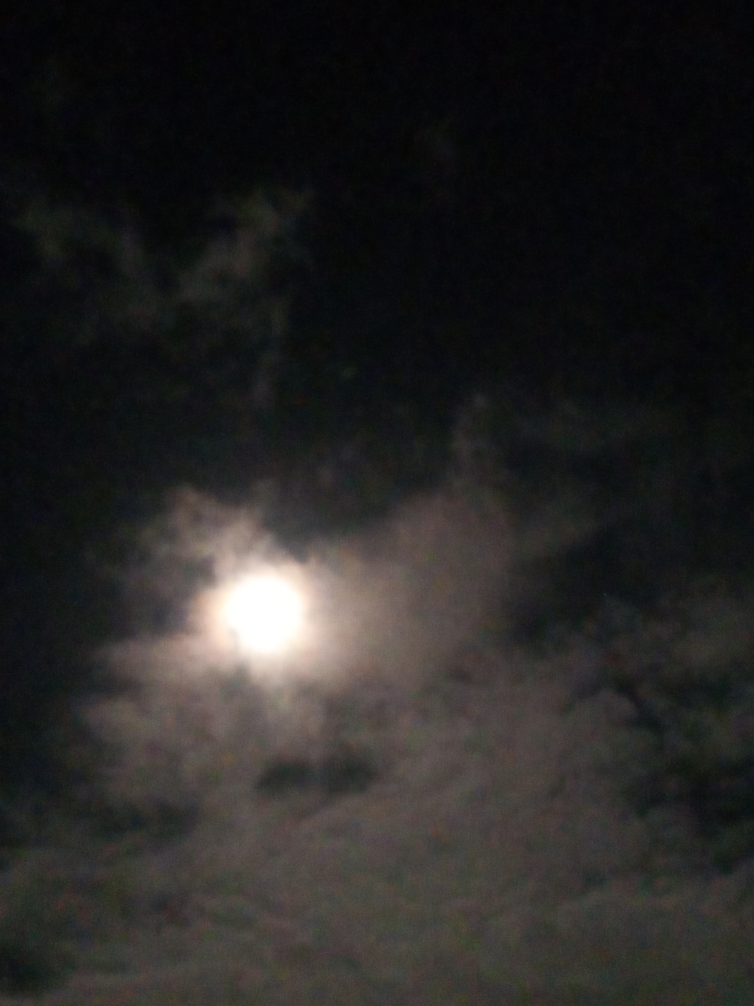 The image depicts a night sky with a full moon partially obscured by clouds. The moon is a bright, glowing orb located in the lower left quadrant of the image. wispy, gray clouds surround the moon, creating a diffused halo effect. The rest of the sky is dark, with some areas appearing almost black, suggesting the absence of artificial light pollution in that specific direction. The composition is dark and atmospheric, emphasizing the presence of the moon against the night sky. There are no identifiable people, structures, or city elements visible in this particular frame. The image appears to be a candid shot taken outdoors, likely at night, without any specific focus on an urban environment, making it difficult to definitively place it in Altagracia, Venezuela based solely on visual cues.
