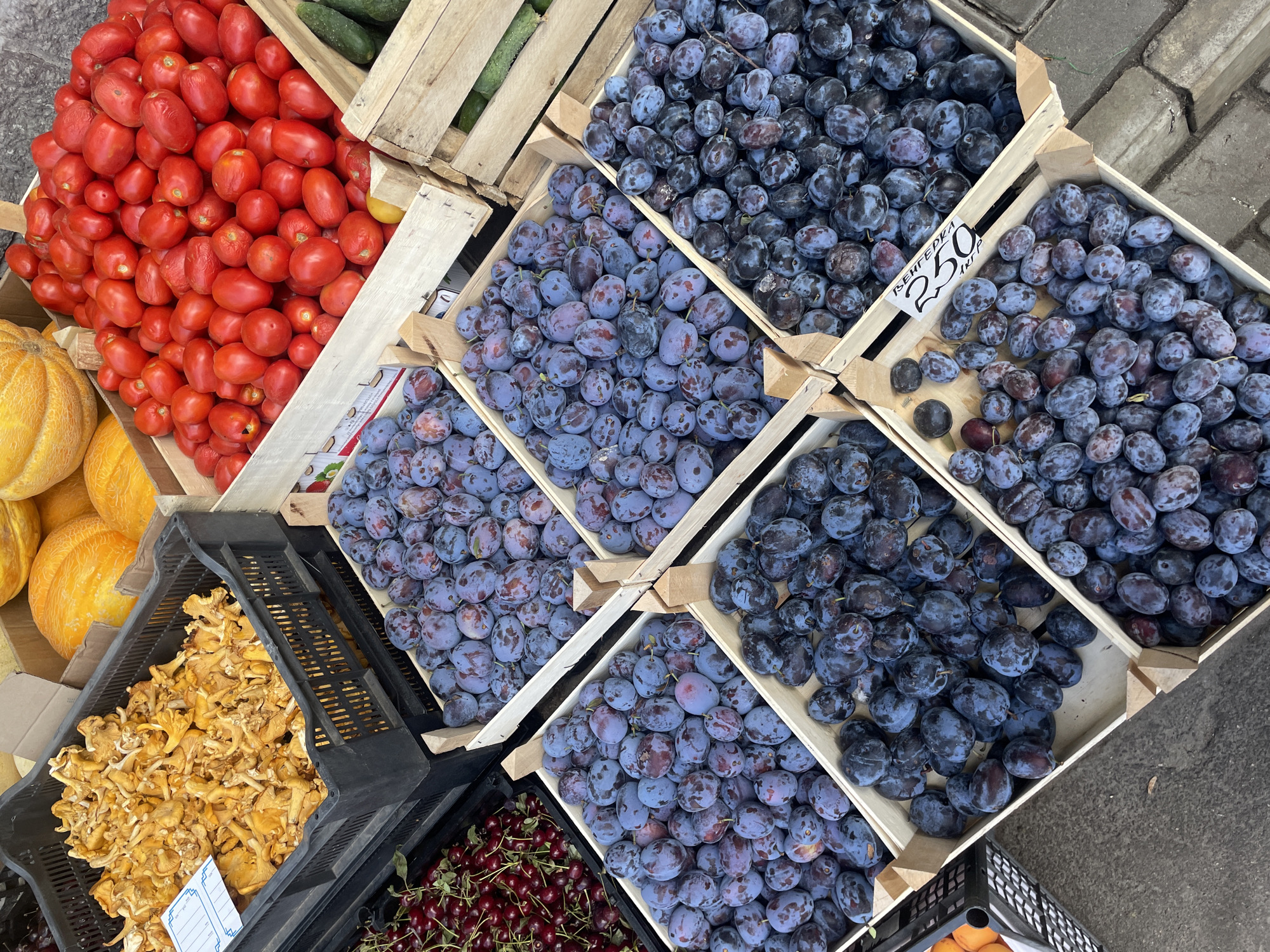 A top-down, high-angle medium shot captures a vibrant market stall displaying a variety of fresh produce. The scene is set outdoors on a paved surface, possibly a street or marketplace, with hints of brickwork visible in the lower right corner. The stall is overflowing with colorful fruits and vegetables arranged in wooden crates and black plastic baskets.
Prominently featured are large quantities of plums, varying in shades of deep purple and lighter blue, filling multiple crates. To the upper left, a black crate is filled with golden chanterelle mushrooms. Adjacent to the plums, to the upper right, is a wooden crate brimming with small, red, oval-shaped tomatoes. Behind these, two large yellow melons are partially visible. In the lower left corner, a black basket holds a dense pile of dark red cherries. Further to the right, a wooden crate contains green cucumbers.
One crate of plums has a white price tag displaying handwritten black text, with a number clearly visible as "250". There are no people visible in the frame, and no animals or other living beings are present. The overall impression is one of abundance and freshness, showcasing a diverse selection of seasonal produce at a market. The location is identified as Pargolovo, Russia.