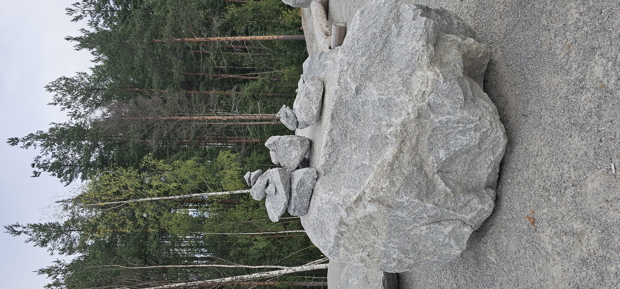 A large, gray, granite boulder is prominently displayed in the foreground. Several smaller, gray stones are balanced on top of the large boulder, forming a rock cairn. In the background, a dense forest of green pine and birch trees stretches across the horizon. The ground is covered with small gray gravel. The scene appears to be an outdoor setting, possibly a park or natural area.