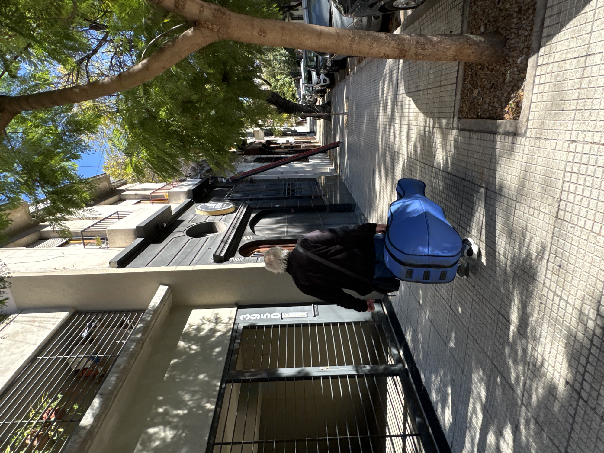The image captures a sunny urban street scene in Buenos Aires, Argentina. A person with gray hair, wearing a dark jacket and a shoulder bag, walks away from the viewer along a paved sidewalk. They are pulling a bright blue, soft-sided instrument case equipped with wheels, possibly for a cello or bass.
The setting appears to be a residential area with multi-story buildings lining the street. The building directly next to the person features a dark, metal barred entrance gate, above which the house number "3950" is clearly visible. A circular sign with the word "Sabor" partially visible is affixed to the building's facade near the entrance. Balconies with railings and other window bars can be seen on upper floors, suggesting security features common in city dwellings.
Mature trees with abundant green foliage line the sidewalk, casting dappled shadows onto the checkered paving stones, indicating bright daylight, likely late morning or early afternoon on a clear day. Further down the street, several cars are parked along the curb. The overall atmosphere suggests a typical daily activity in an urban environment.