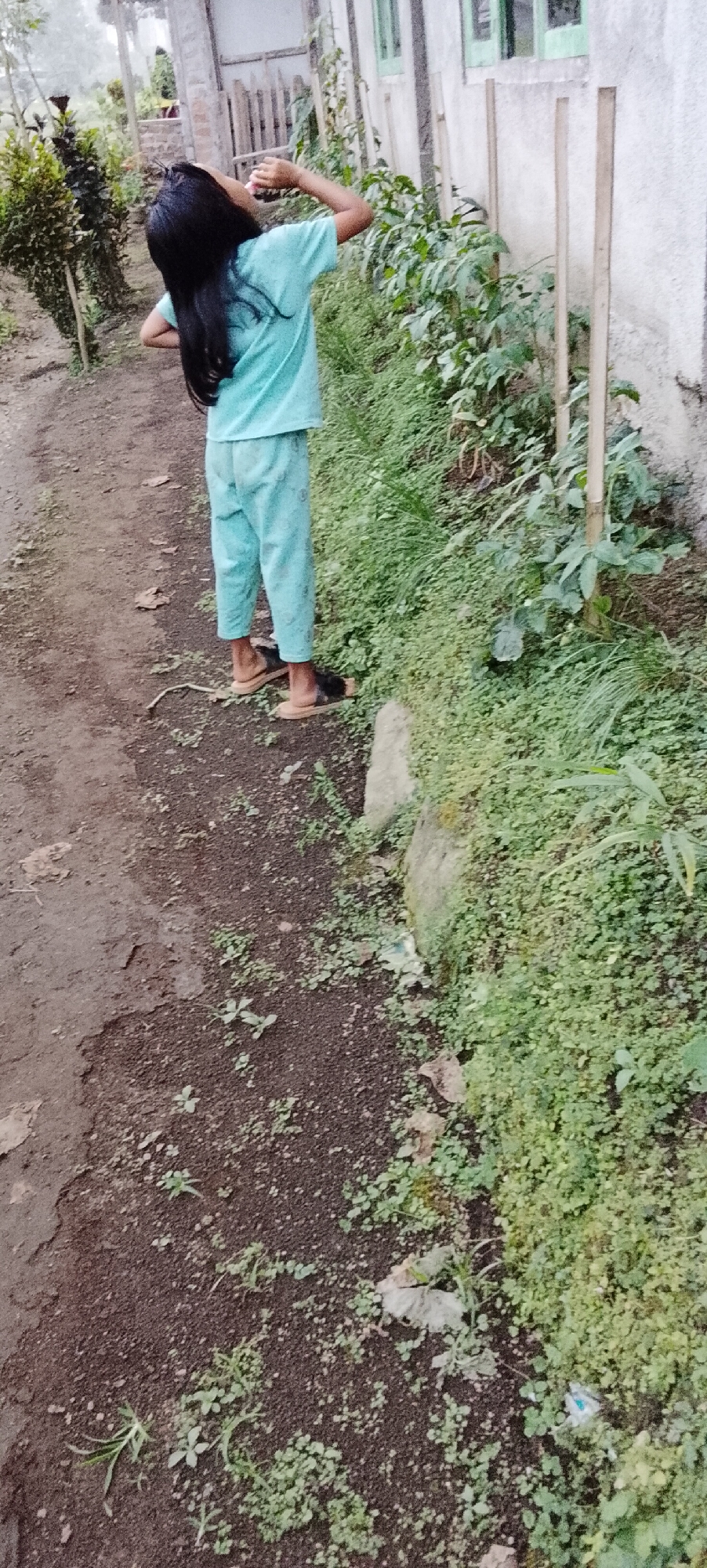 In Padang Dalom, Indonesia, a young girl with long, dark hair stands on a dirt path next to a wall and some vegetation. She is wearing a light blue t-shirt and light blue patterned pants, along with sandals. Her head is tilted back and her right arm is raised, with her hand near her mouth, possibly drinking from a small pink object. The ground is a mix of dark soil and scattered leaves, with small green plants growing in patches. To her right, there is dense green foliage and a concrete wall with several wooden stakes planted in the ground. In the background, there is a wooden fence and a building with windows. The overall environment suggests an outdoor, possibly rural or suburban, setting.