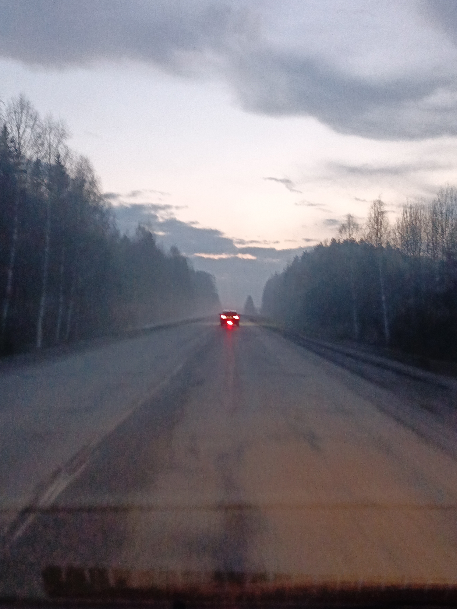 The image shows a view from inside a vehicle driving on a road in Garevaya, Russia. The road is asphalt and has a car with its brake lights on ahead in the same lane. The road is flanked by dense trees on both sides. The sky is overcast and appears to be near dusk or dawn.