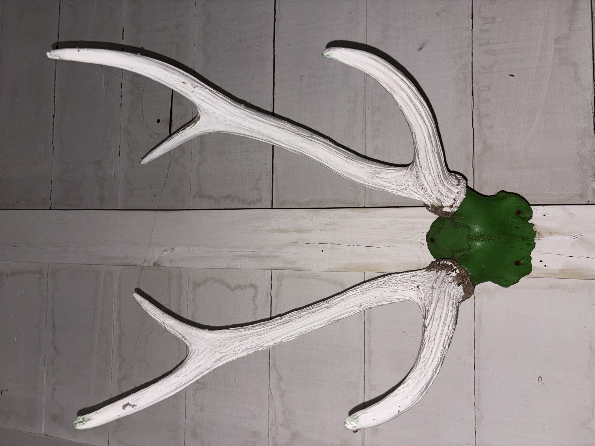 The image shows a pair of white-painted antlers attached to a green, skull-shaped object, mounted on a white wooden wall. The antlers are symmetrical and curved upwards and outwards. The skull appears to be made of metal and has two small red screws visible on its surface. The wooden wall is made of horizontal planks. There are no people or animals visible in the image. The scene is indoors, likely a decorative display.