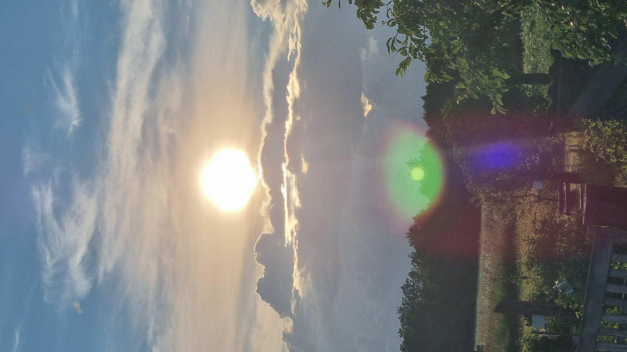 The image depicts a landscape scene with the sun high in the sky, partially obscured by clouds. The sun appears as a bright, luminous orb, casting a warm, diffused light. Wispy cirrus clouds stretch across the upper portion of the sky, with larger, more textured cumulus clouds forming a layer below the sun. These clouds are illuminated from above, creating dramatic contrasts of light and shadow.
In the lower half of the image, a treeline marks the edge of a meadow or field. The trees are dense and dark green, suggesting a lush environment. In the foreground, there is a wooden fence and some vegetation, including bushes and a sapling. The overall impression is of a serene, natural setting bathed in the soft light of the sun. The location is identified as Vysokoe, Russia.
