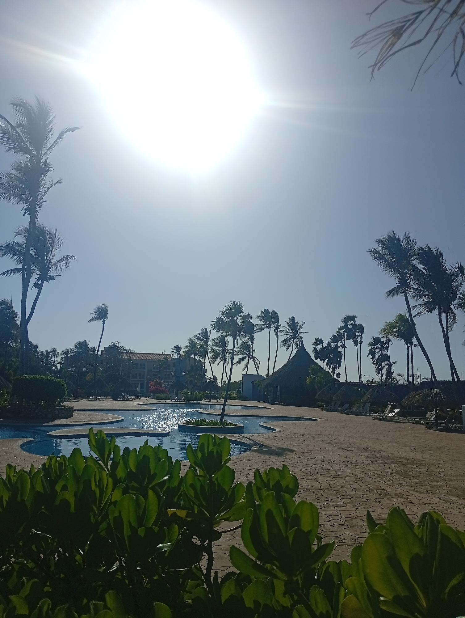 The image depicts a sunny day at a resort, possibly located in Playa El Agua, Venezuela, given the prevalence of palm trees. A swimming pool with curved edges is visible, surrounded by a paved area. Thatched-roof umbrellas with lounge chairs are scattered along the right side. Palm trees are swaying in the background. A building is visible among the palm trees to the left. Large green bushes are in the foreground. The sun is very bright and high in the sky. There are no people visible in the scene.