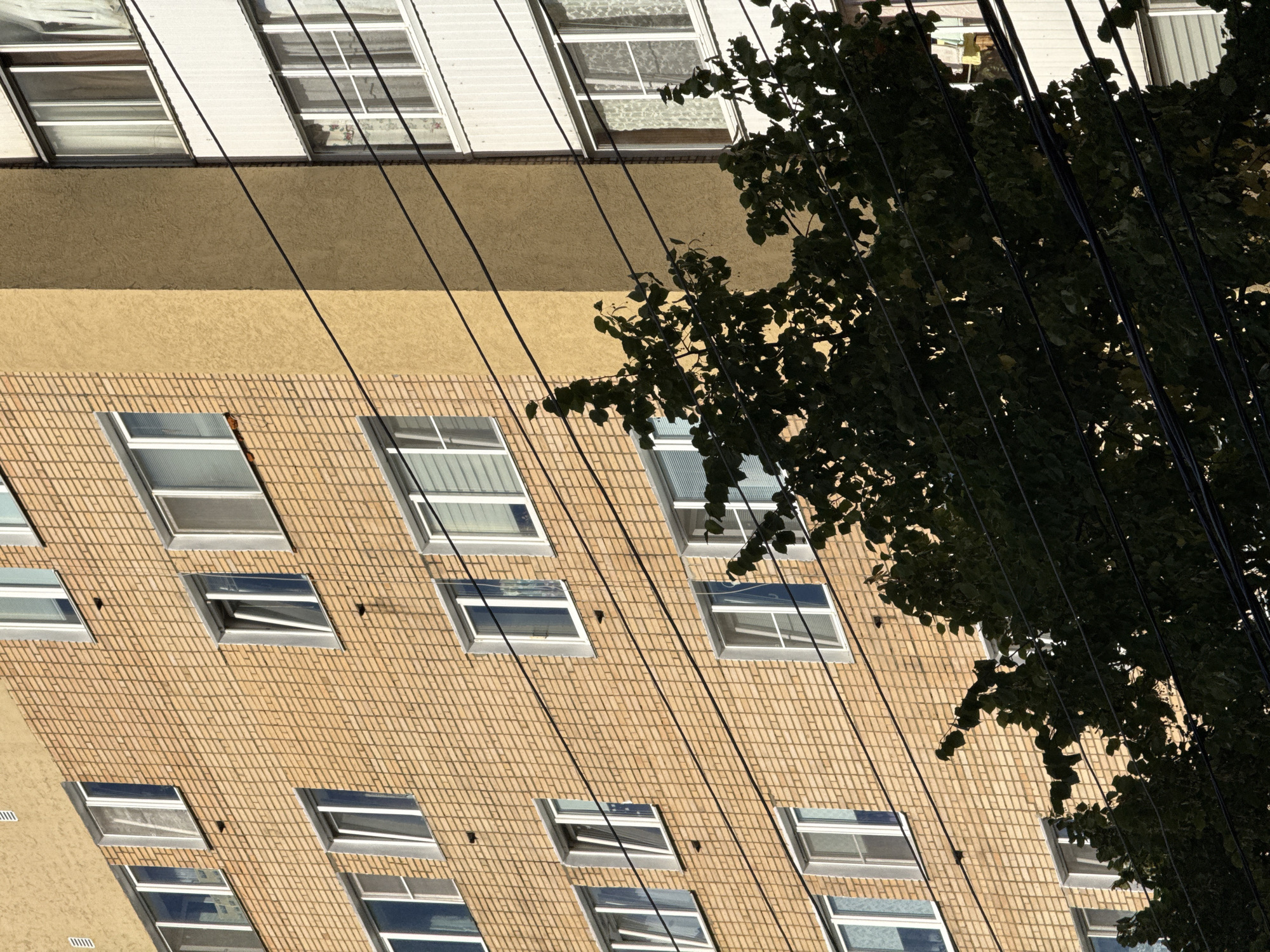 The image shows the exterior of a multi-story brick building in Sof'ino, Russia. The building has a light brown brick facade with multiple windows. The windows are of various styles, some are open, revealing interior blinds or curtains. A vertical section of the building's exterior to the right of the brick facade is a rough, textured yellow stucco. Adjacent to this section, to the far right, is a section of a white facade with more windows. Dark electrical wires are strung horizontally across the frame, passing in front of both building sections. In the foreground, the dark green foliage of a leafy tree obscures a portion of the lower part of the image and some of the electrical wires. The lighting suggests it is daytime with sunlight casting shadows. There are no people visible in the image.