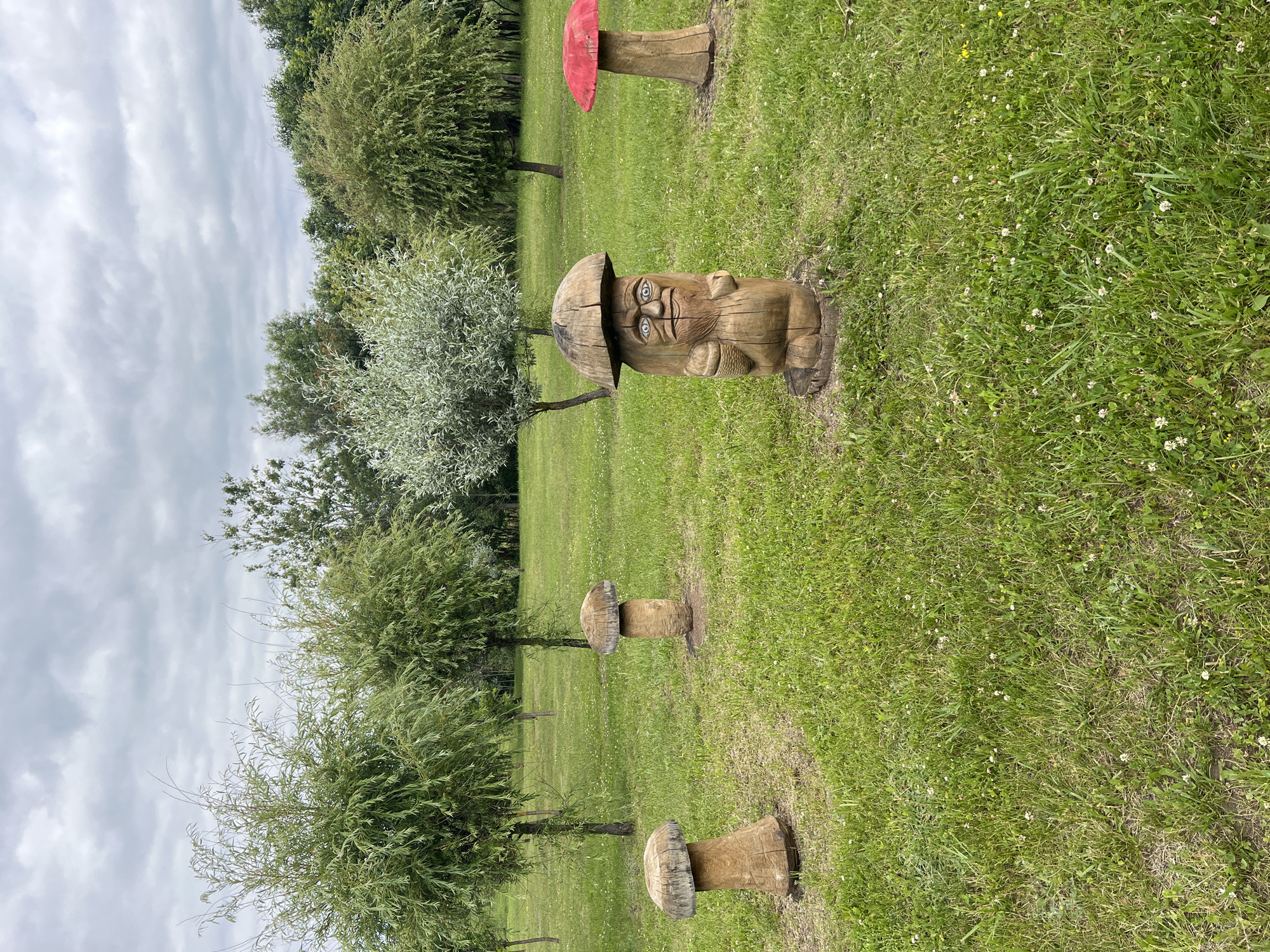 In a park in Minsk, Belarus, on a cloudy day, several wooden mushroom sculptures are displayed on a grassy lawn. The largest sculpture, in the center of the frame, is a carved figure resembling a gnome or forest spirit with a mushroom cap for a head. It has a carved face with blue eyes, a nose, and a mouth, and it holds a small basket in its left arm. To the left of this central figure are two smaller, simpler wooden mushroom sculptures. To the right, a mushroom sculpture with a red cap stands. In the background, several trees with sparse foliage are visible, and beyond them, denser trees form a treeline. The ground is covered in green grass dotted with small white flowers.