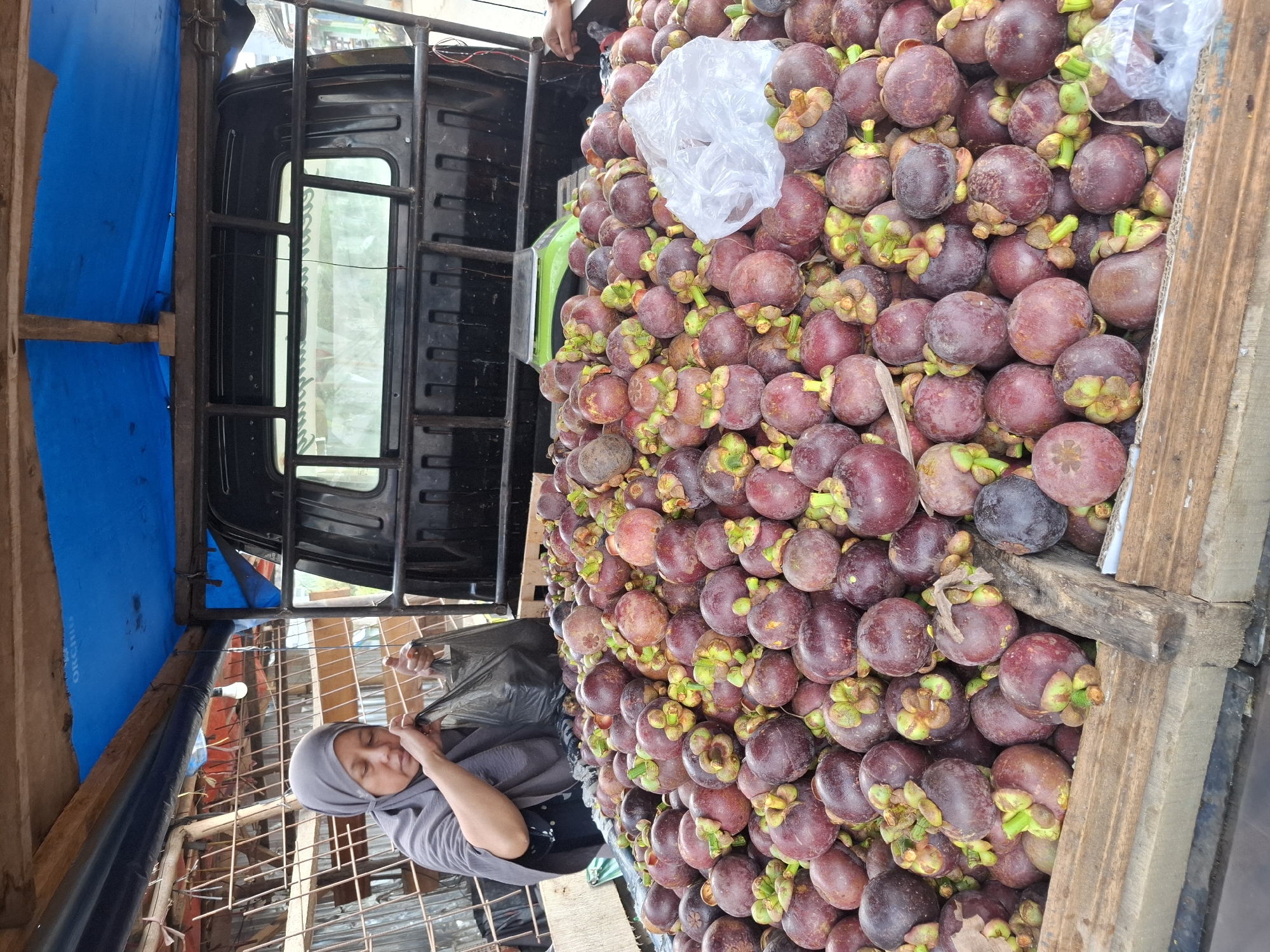 In Ciheulang Tonggoh, Indonesia, a woman wearing a grey hijab is standing next to a truck filled with mangosteens. She is holding a black plastic bag and appears to be in the process of bagging some of the fruit. The truck is covered with a blue tarp, and a scale is visible behind the pile of mangosteens. The scene depicts a fruit vendor at what appears to be a roadside market.