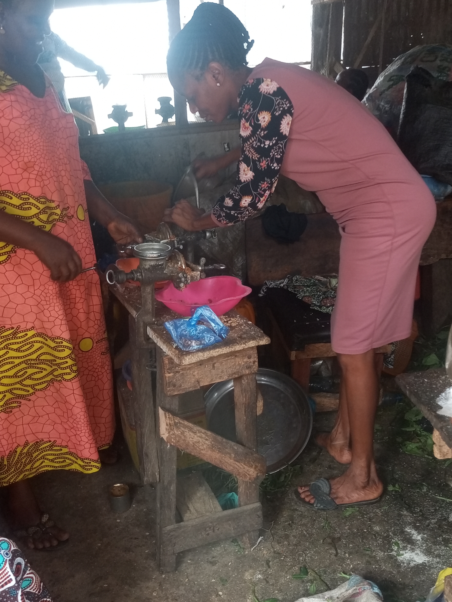 In Sabon Tasha, Nigeria, two women are actively engaged in what appears to be food preparation in an indoor setting with rough wooden construction. The woman on the left wears an orange and yellow patterned dress, while the woman on the right wears a pink dress with long floral sleeves. They are both focused on operating a metal grinder, with ingredients and by-products collected in bowls on and below a wooden stand. A metal tray is on the ground under the stand. The scene includes various tools and containers, suggesting a workspace dedicated to processing food. The environment is enclosed, the floor is dirt and there are wooden elements for construction.