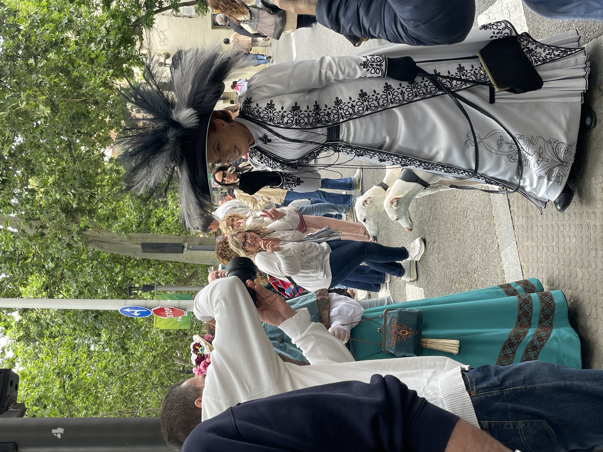 The image captures a street scene in Terrassa, Spain, where people are dressed in traditional clothing. One woman stands out wearing a long, white dress with black embroidery and a large black feathered hat, accompanied by two white dogs. She is positioned on the sidewalk, engaging with onlookers. A group of people are clustered nearby, some holding cameras and taking pictures. The foreground shows an individual wearing a white shirt and blue jeans, holding a camera. The background includes trees and street signs, indicating an urban environment.