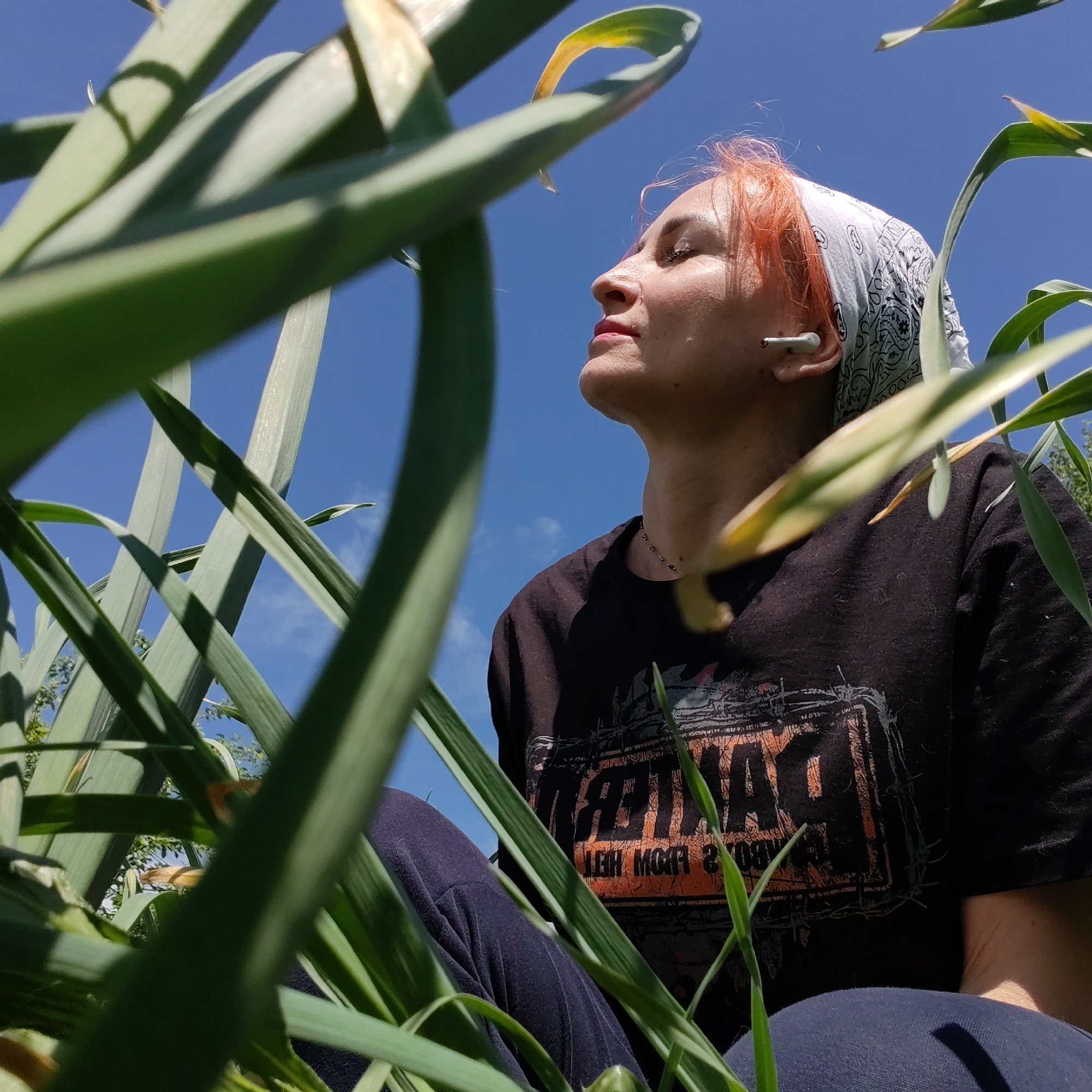 A low-angle shot depicts a person with fair skin, and orange-dyed hair wearing a patterned bandana and a black t-shirt with an orange graphic. The person is sitting amidst tall, green plants, possibly garlic or similar vegetation, with several of the leaves prominently framing the shot. Their face is turned upwards towards the clear blue sky, eyes closed, with a white wireless earbud visible in their right ear. The person wears a delicate necklace. They are wearing dark-colored pants.
It is not possible to determine the location within Chaikovsky, Russia, based solely on the visual information provided.