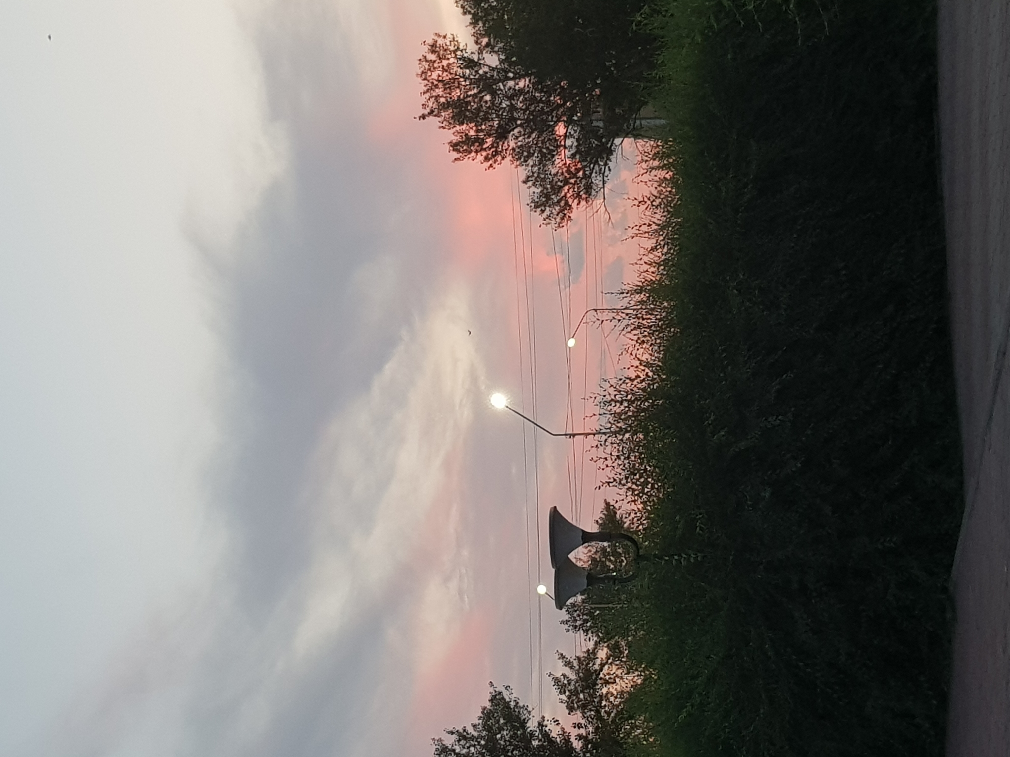 The image shows a street scene at dusk in Kurchatov, Kazakhstan. The sky is filled with soft pink and gray clouds, illuminated by the setting sun. Several streetlights are visible, two of which are lit. One streetlight, on the right side of the image, has a bright, circular light. In the foreground, a dense, dark green hedge runs across the width of the frame. Behind the hedge, trees with dark foliage are visible on the left and right sides. Power lines stretch across the upper portion of the sky. In the distance, a small, dark object, possibly a bird or an airplane, is visible in the sky. The ground in the foreground appears to be a dark asphalt surface.