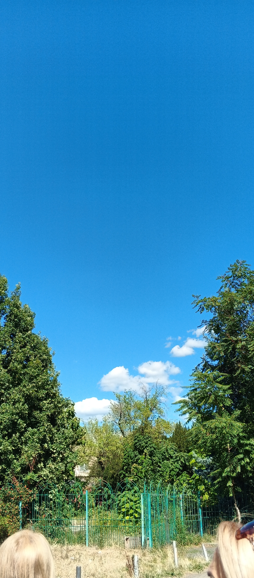 The image depicts a bright, sunny day with a clear blue sky dominating the upper portion. In the lower half, a lush green landscape is visible, featuring a variety of trees and foliage. A decorative, bright green metal fence runs horizontally across the frame, separating the foreground from the background vegetation. To the far left and right edges of the image, the tops of two large, bushy green trees are visible, framing the central scene. In the bottom left and right corners, the backs of two people's heads with blonde hair are partially visible, suggesting they are the viewers or subjects in the foreground. The overall impression is one of a pleasant outdoor setting, likely a park or garden area in Mukachevo, Ukraine.
