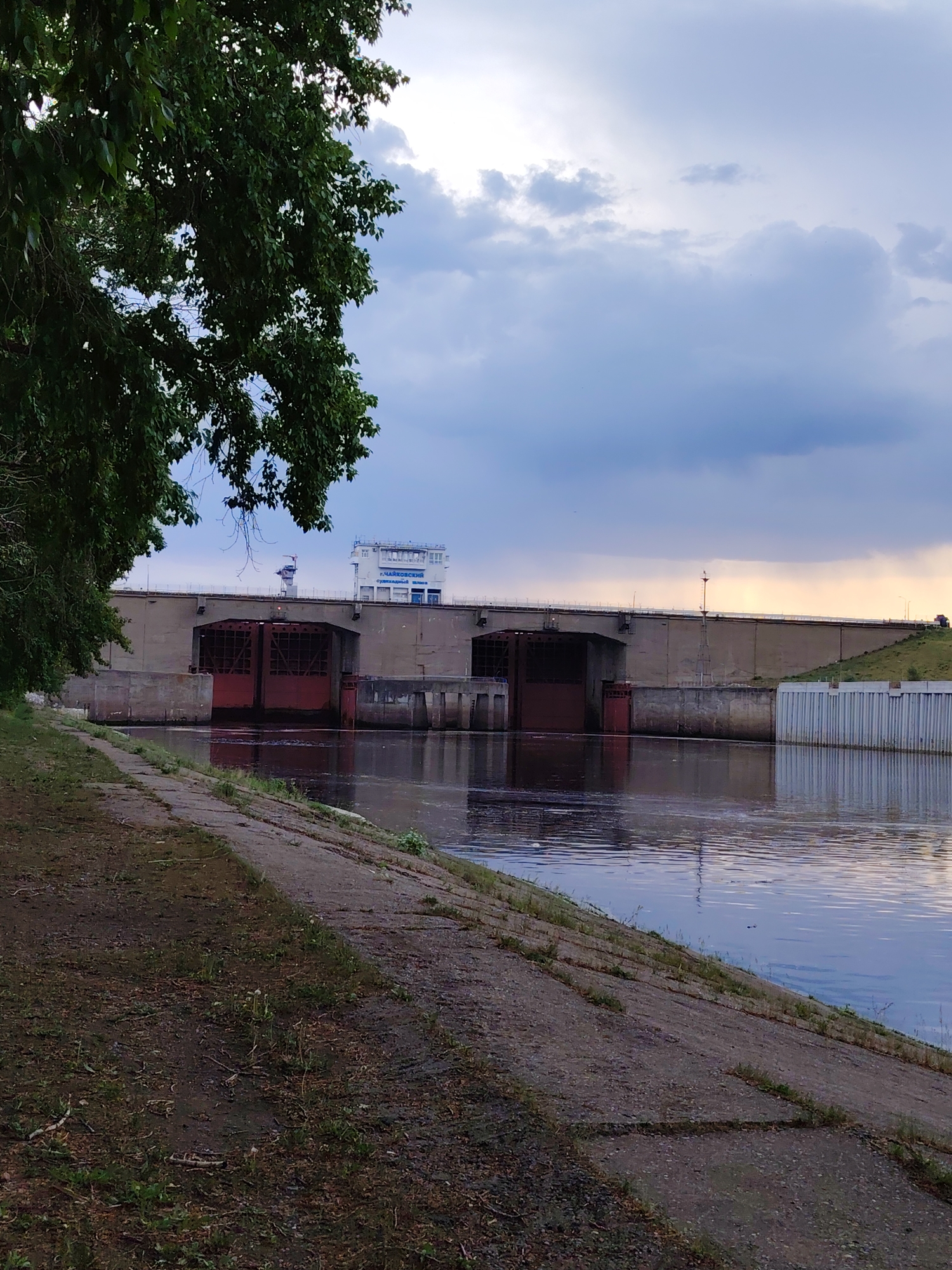 The image depicts a water dam in the city of Chaikovsky, Russia. The dam structure is made of concrete and features red metal gates. A multi-story control building is visible on top of the dam, with signage in Russian on the building. The sky is overcast with gray and white clouds. The water in the river reflects the dam and the sky. In the foreground, there's a concrete embankment with some vegetation growing along it. A tree with dense foliage is in the left part of the frame.