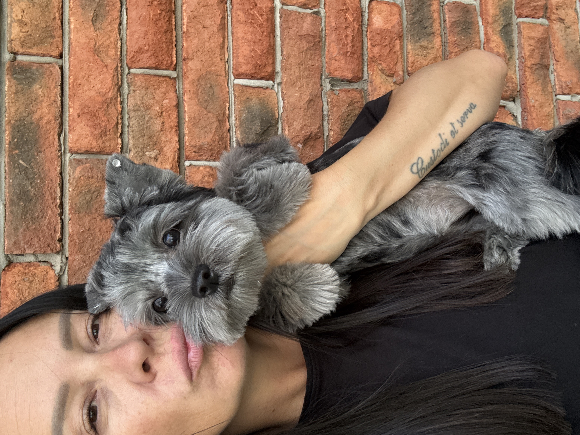 A woman with long dark hair and fair skin is holding a small, gray, fluffy dog. She is wearing a black t-shirt and has her lips pursed as if to kiss the dog. The dog is held in her left arm and its head is near her face. The woman has a tattoo on her left forearm that reads "Custodi et serva." They are standing in front of a brick wall that is orange-red in color. The image appears to be taken outdoors. The specific location in the city of Chaikovsky, Russia is not determinable from the visual information provided.
