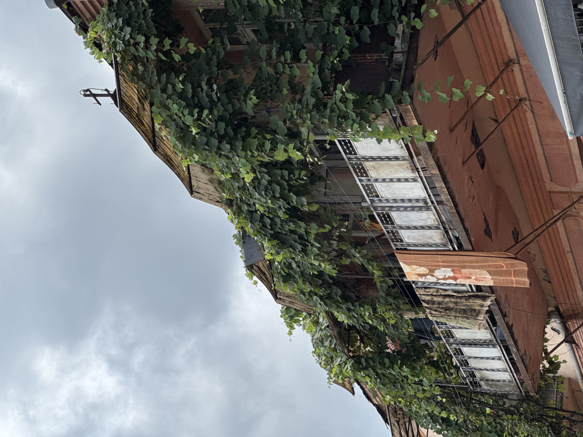 A low-angle, close-up shot captures the exterior of a weathered building in Batumi, Georgia, with a focus on an overhanging balcony and roofline enveloped in dense green vines. The building's facade appears to be a faded pinkish-orange, with signs of age and neglect. The balcony railing is made of metal panels with intricate, possibly traditional, geometric patterns, now showing rust and wear. Two blankets are draped over the railing to dry, one with a repeating green and beige pattern and the other a light brown with a floral design. The balcony's underside is exposed, revealing supporting metal rods and a rough, peeling surface. The roofline above is corrugated metal, also aged and possibly rusted, with a distinct upward curve. A simple, dark metal cross-like structure is mounted on the peak of the roof. The sky is overcast with heavy, gray clouds, suggesting a moody or rainy day. The overall impression is one of urban decay intertwined with the persistent growth of nature, creating a unique and slightly melancholic atmosphere characteristic of some older districts in Batumi.